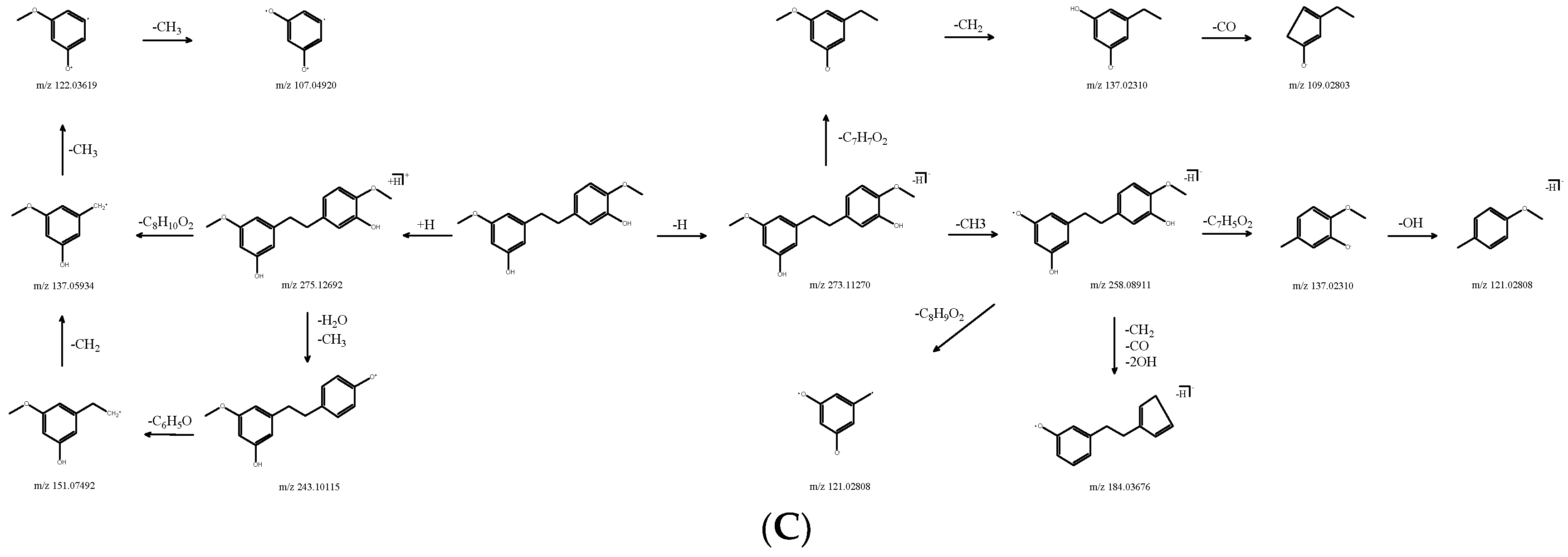 Molecules 28 02683 g005b Molecules 28 02683 g005b
