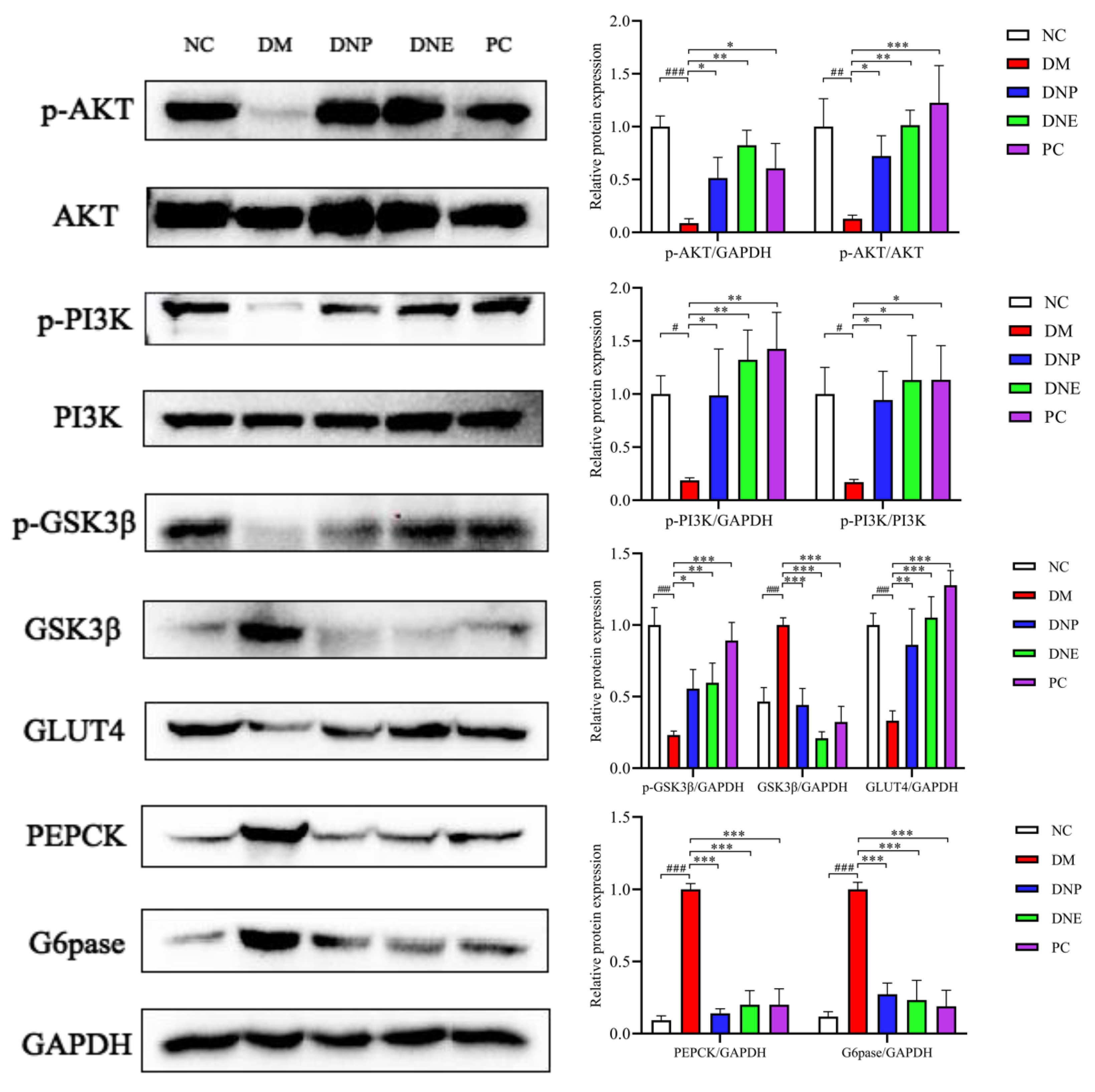 Molecules 28 02683 g018 Molecules 28 02683 g018