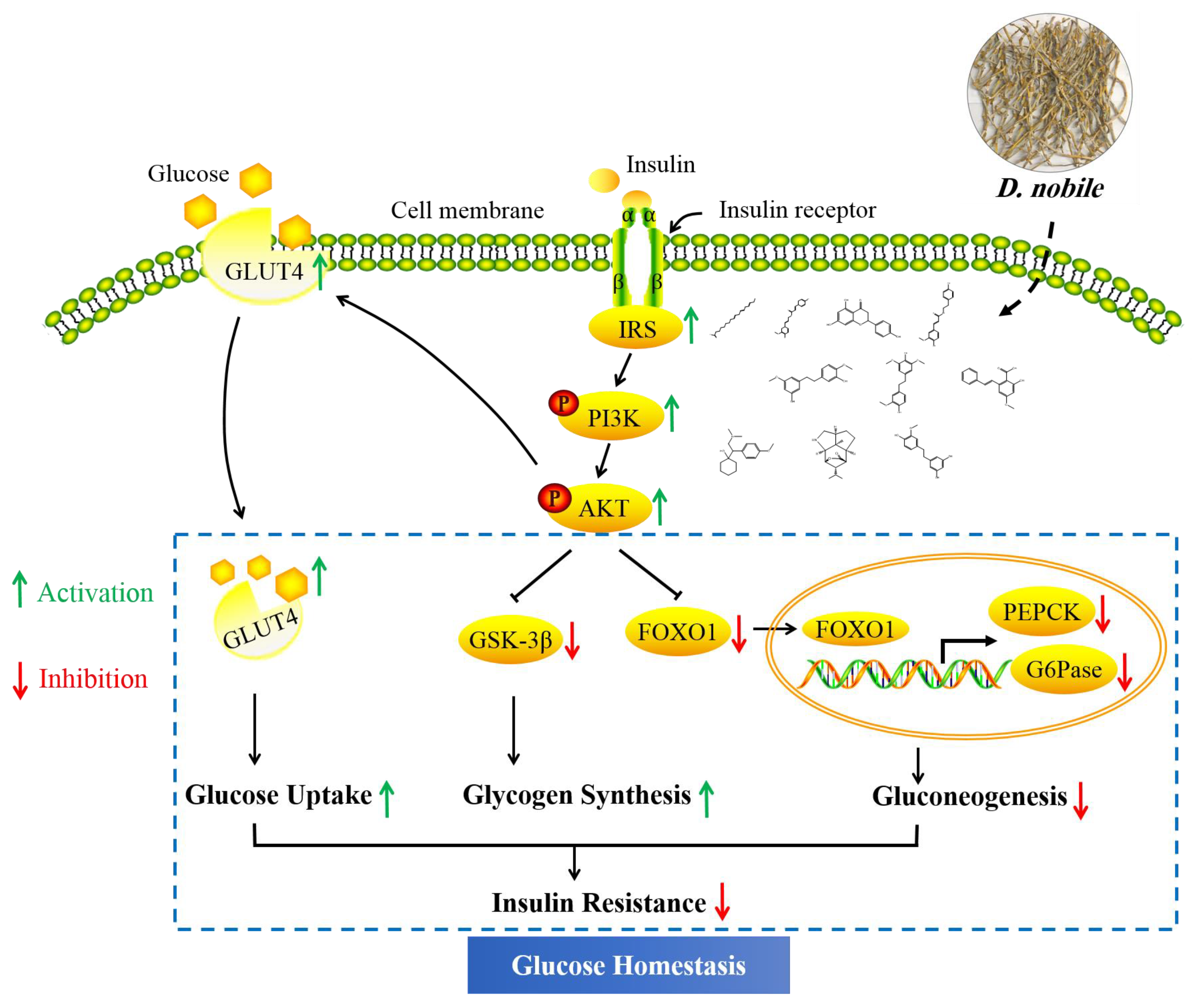Molecules 28 02683 g019 Molecules 28 02683 g019