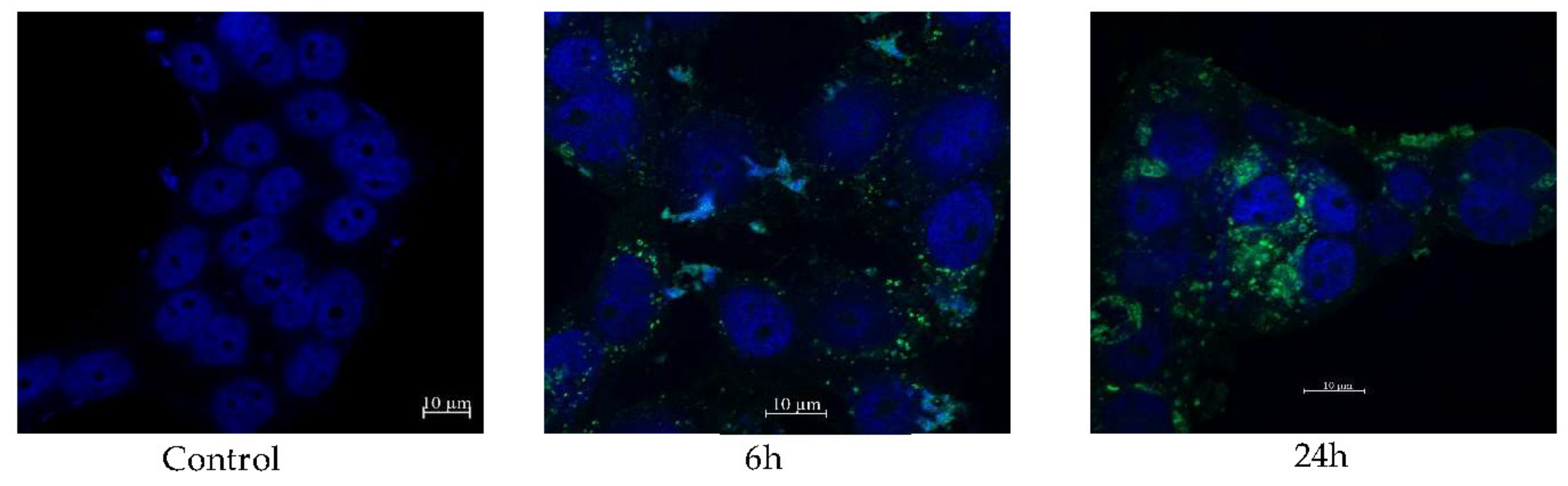 Molecules 28 02693 g009 Molecules 28 02693 g009