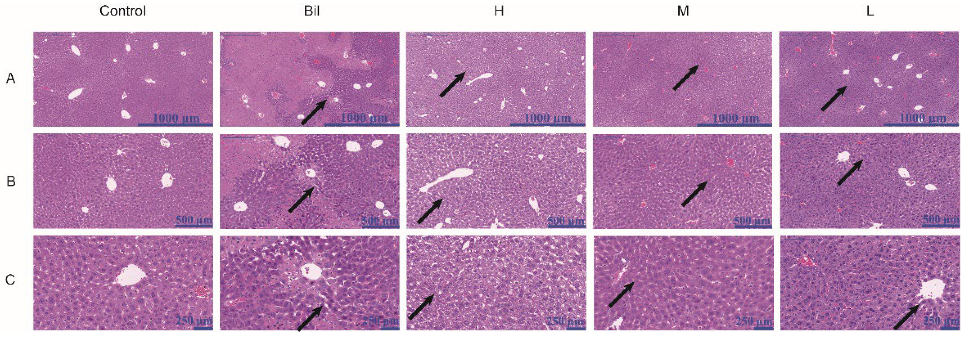 Molecules 28 02720 g008 Molecules 28 02720 g008