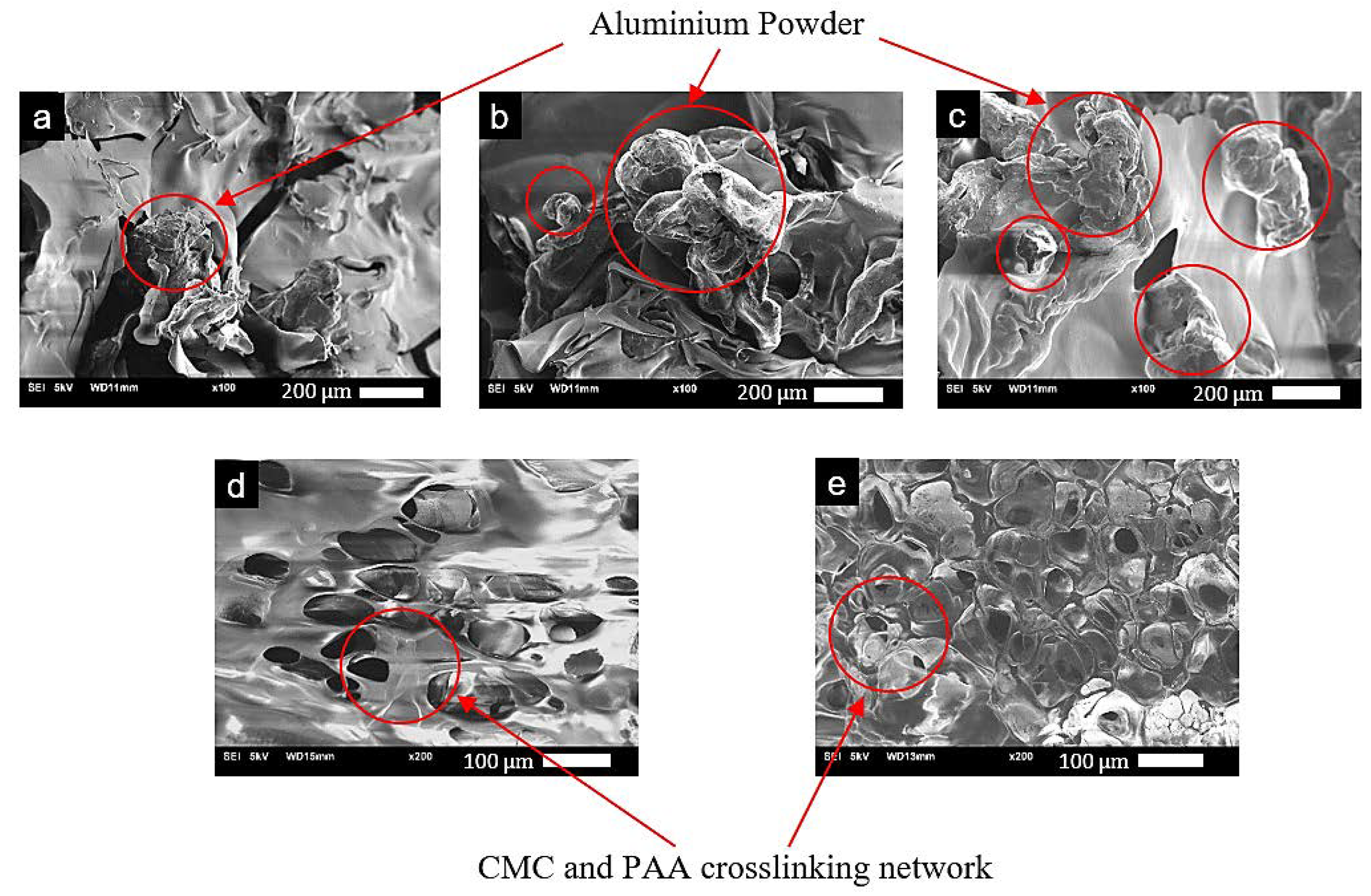 Molecules 28 02727 g003