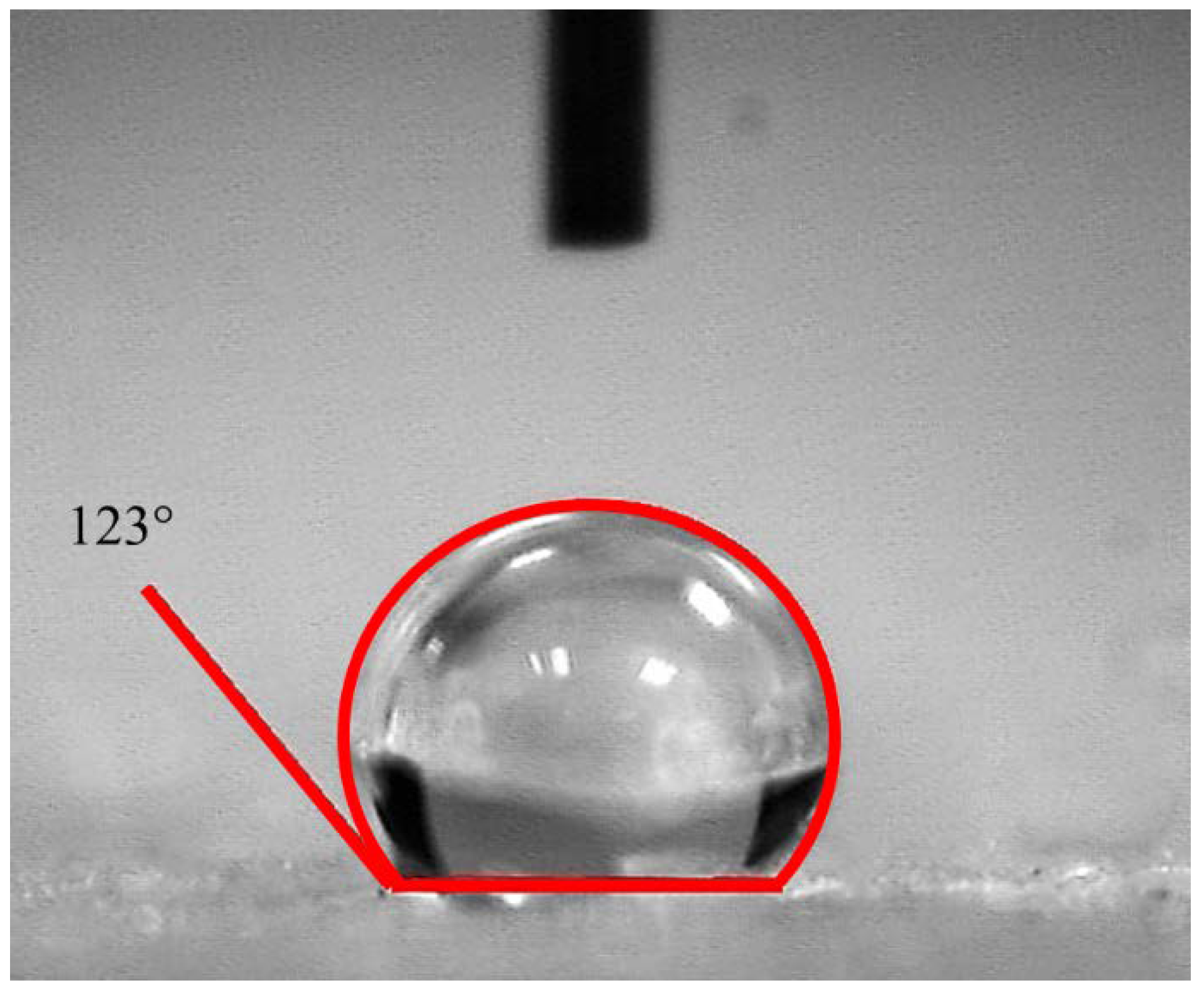 Molecules 28 02727 g006