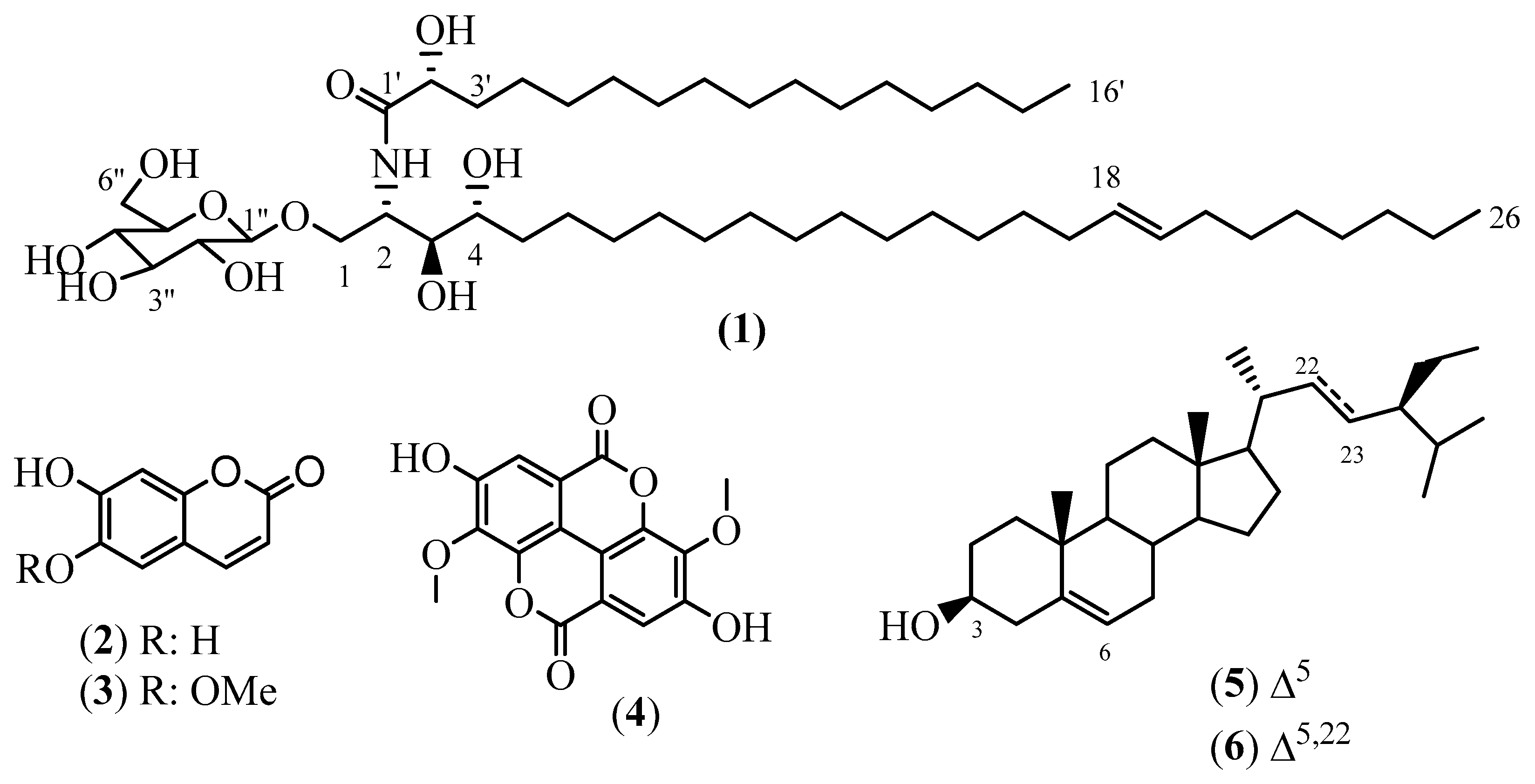 Molecules 28 02730 g001