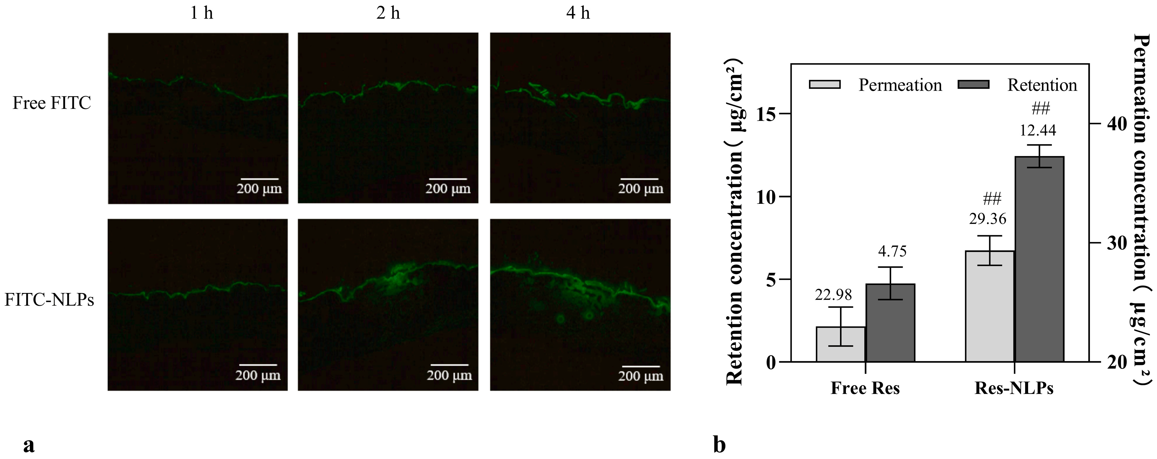 Molecules 28 02738 g002