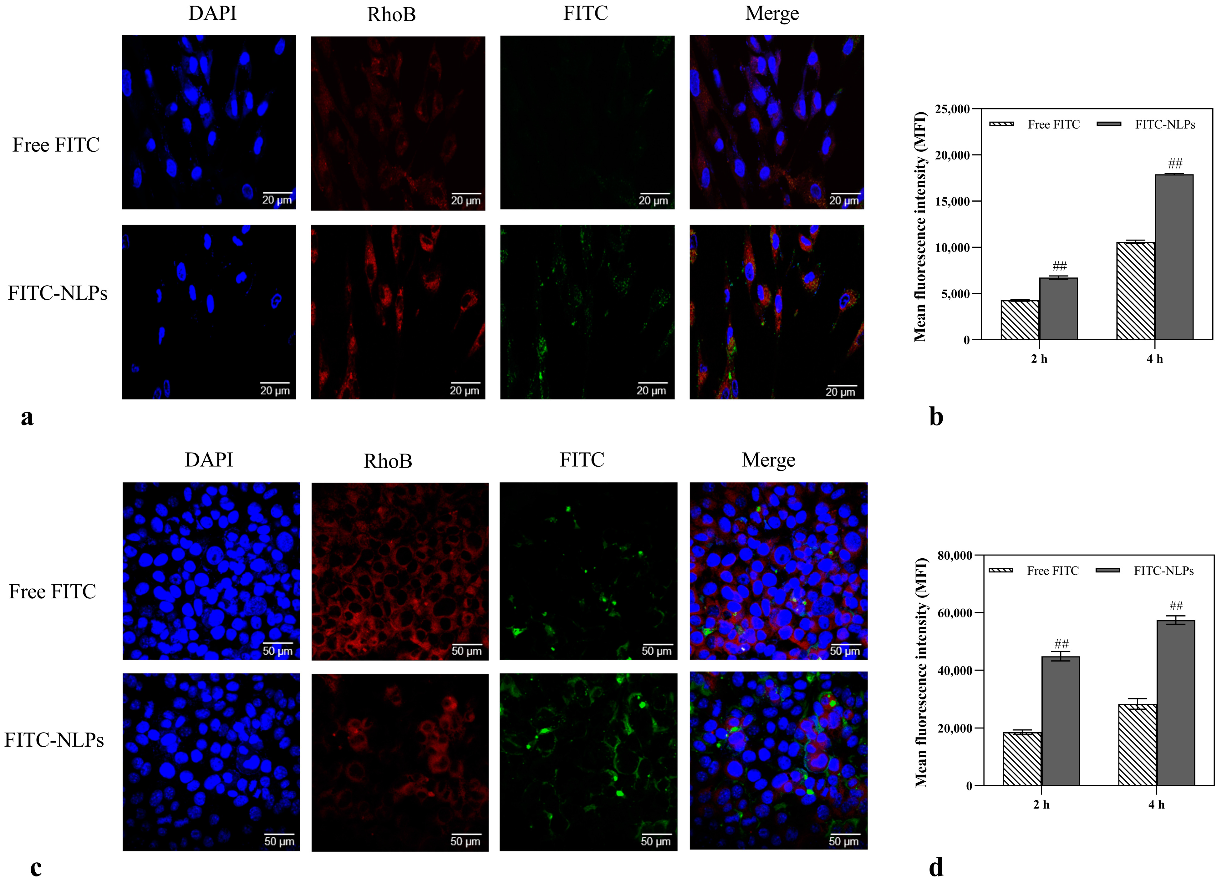 Molecules 28 02738 g004