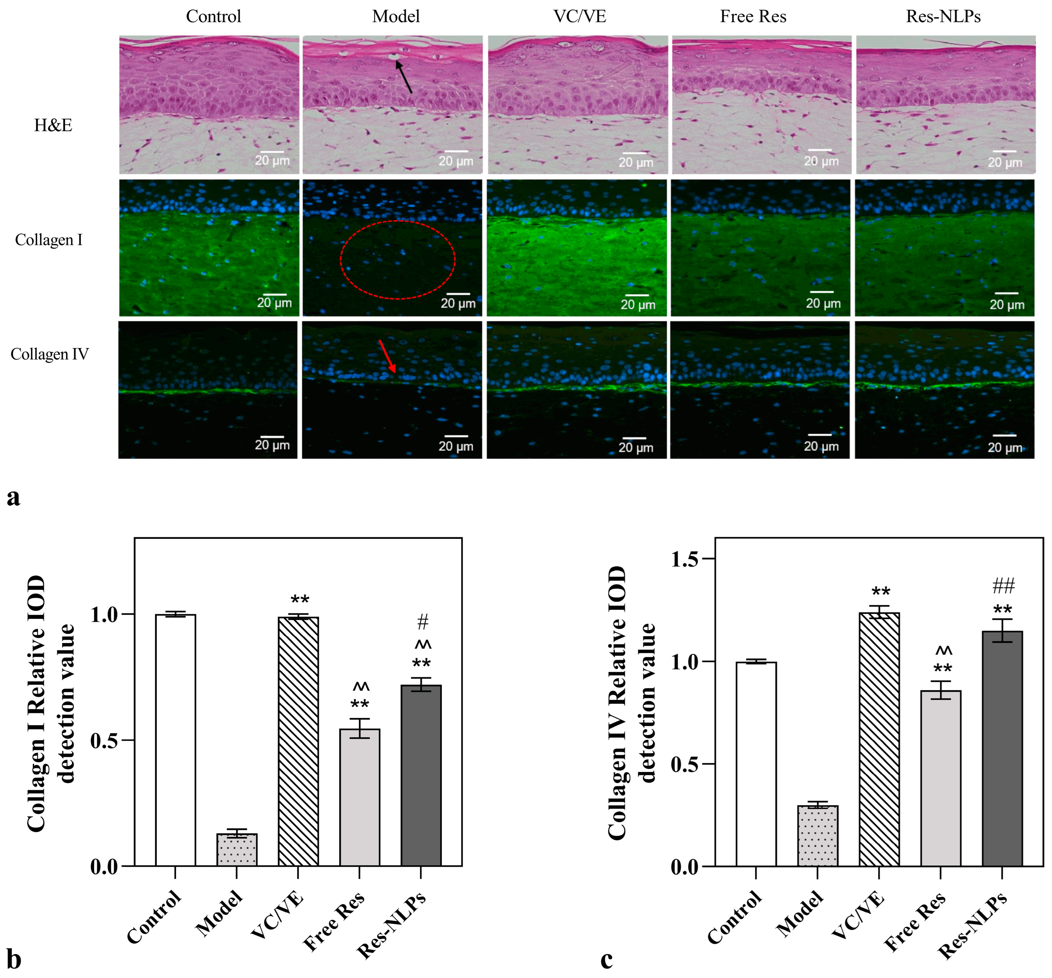 Molecules 28 02738 g007