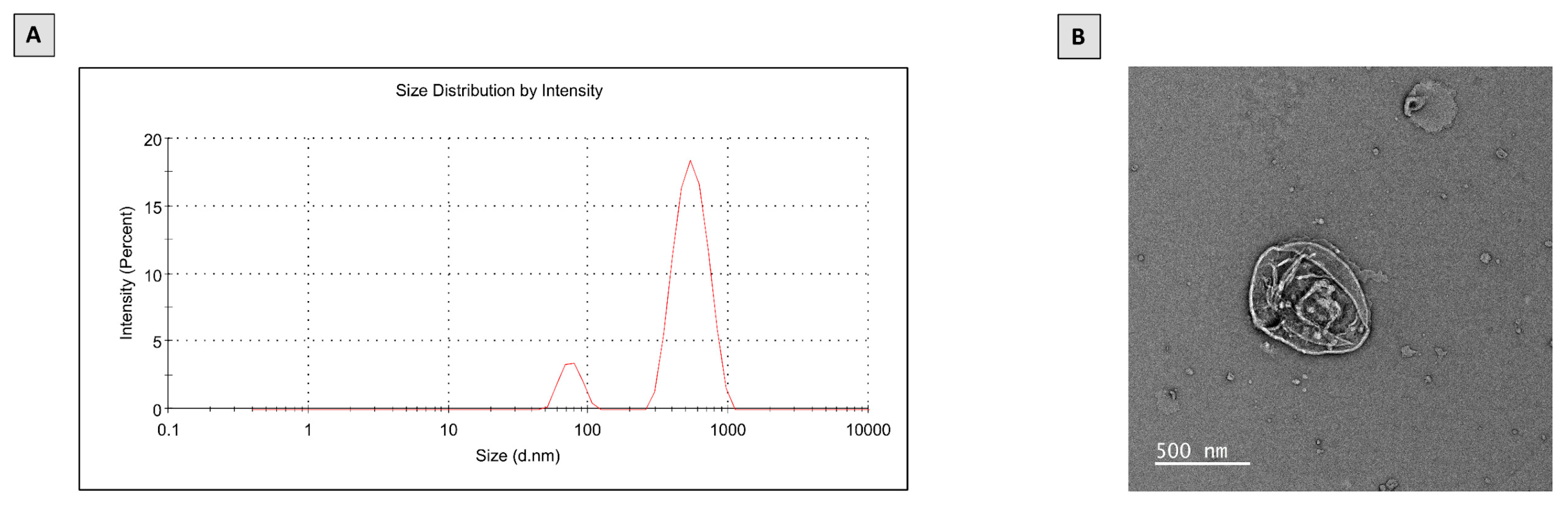 Molecules 28 02741 g001 Molecules 28 02741 g001