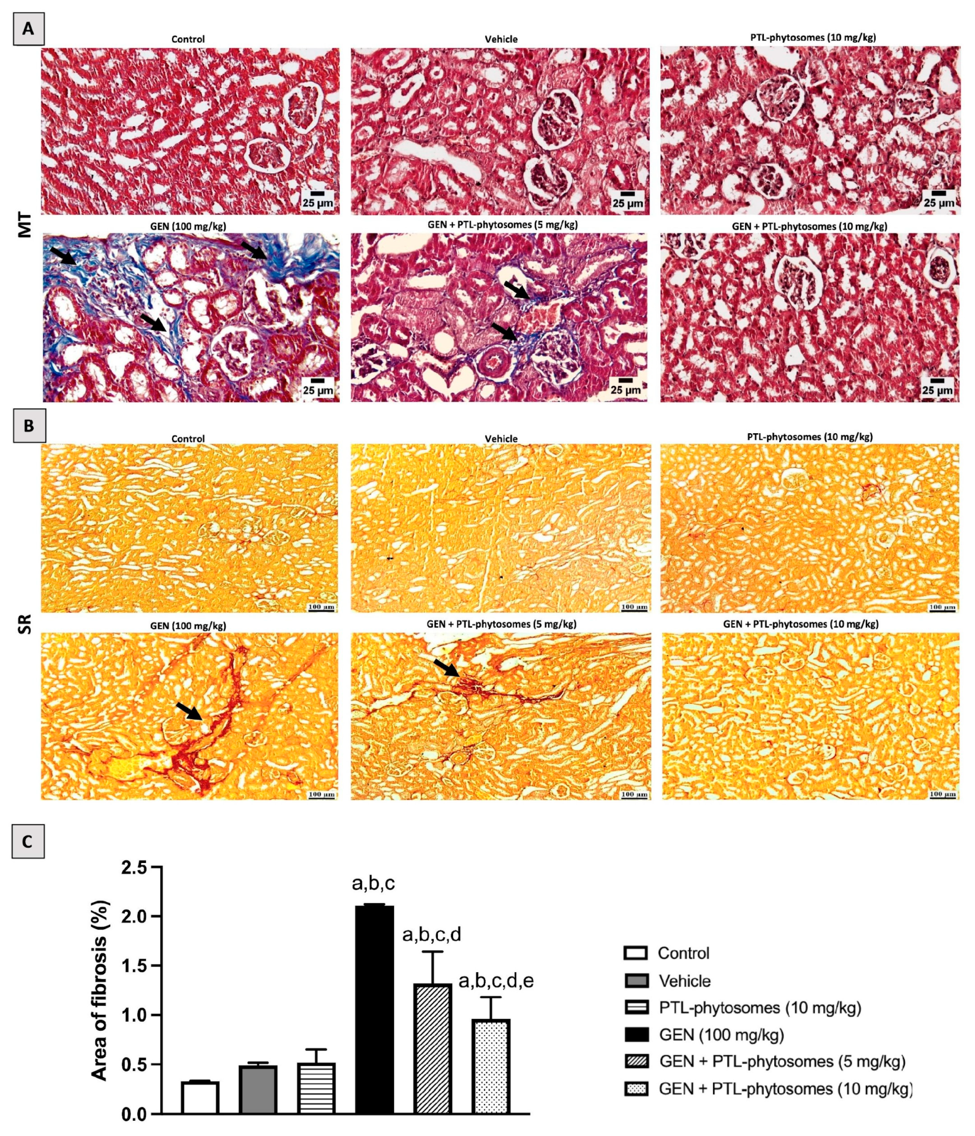 Molecules 28 02741 g005 Molecules 28 02741 g005