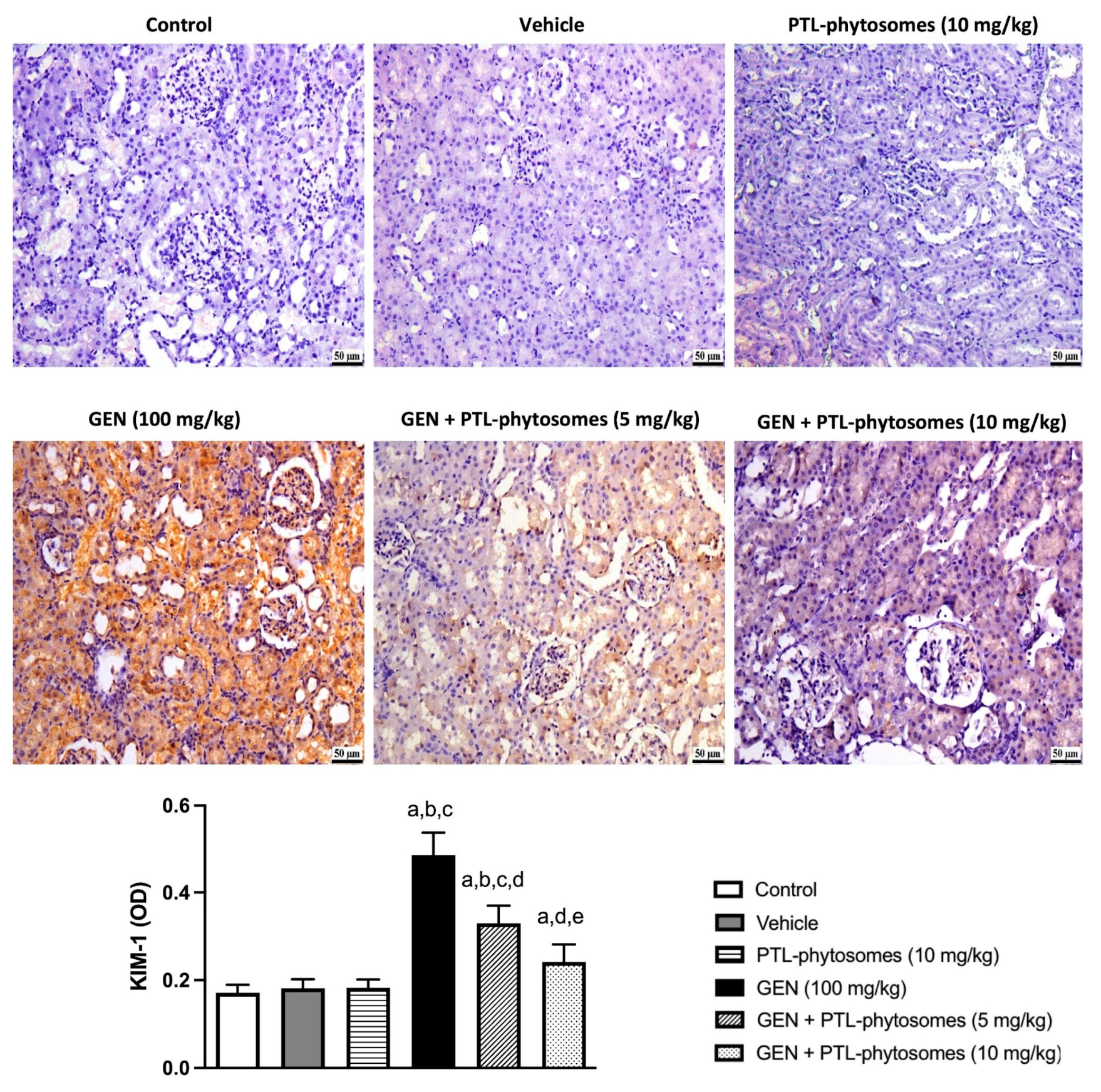 Molecules 28 02741 g006 Molecules 28 02741 g006