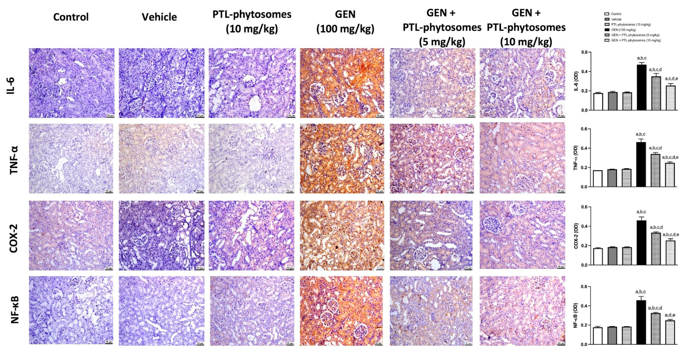 Molecules 28 02741 g009 Molecules 28 02741 g009