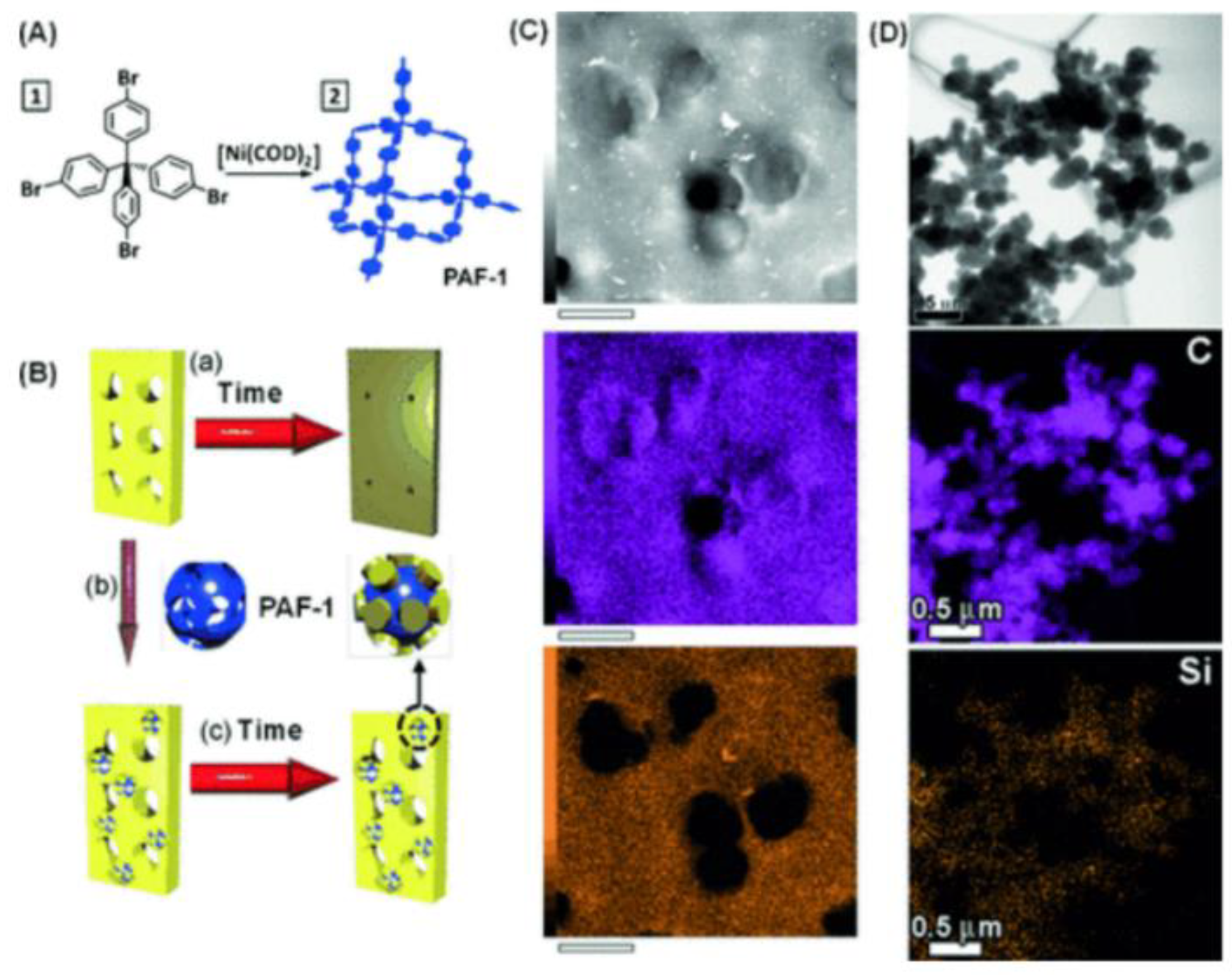 Molecules 28 02748 g004 Molecules 28 02748 g004