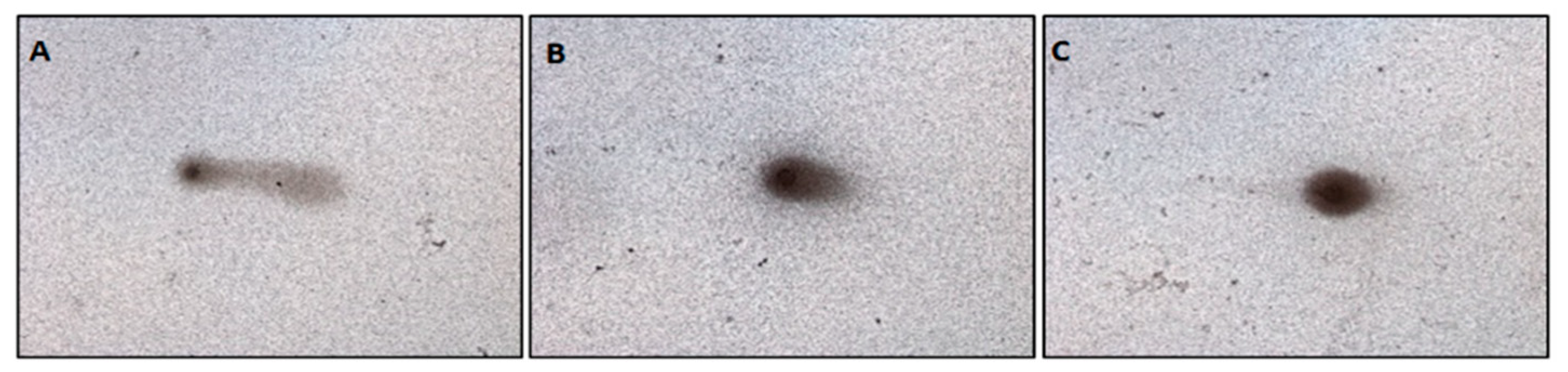 Molecules 28 02752 g006 Molecules 28 02752 g006