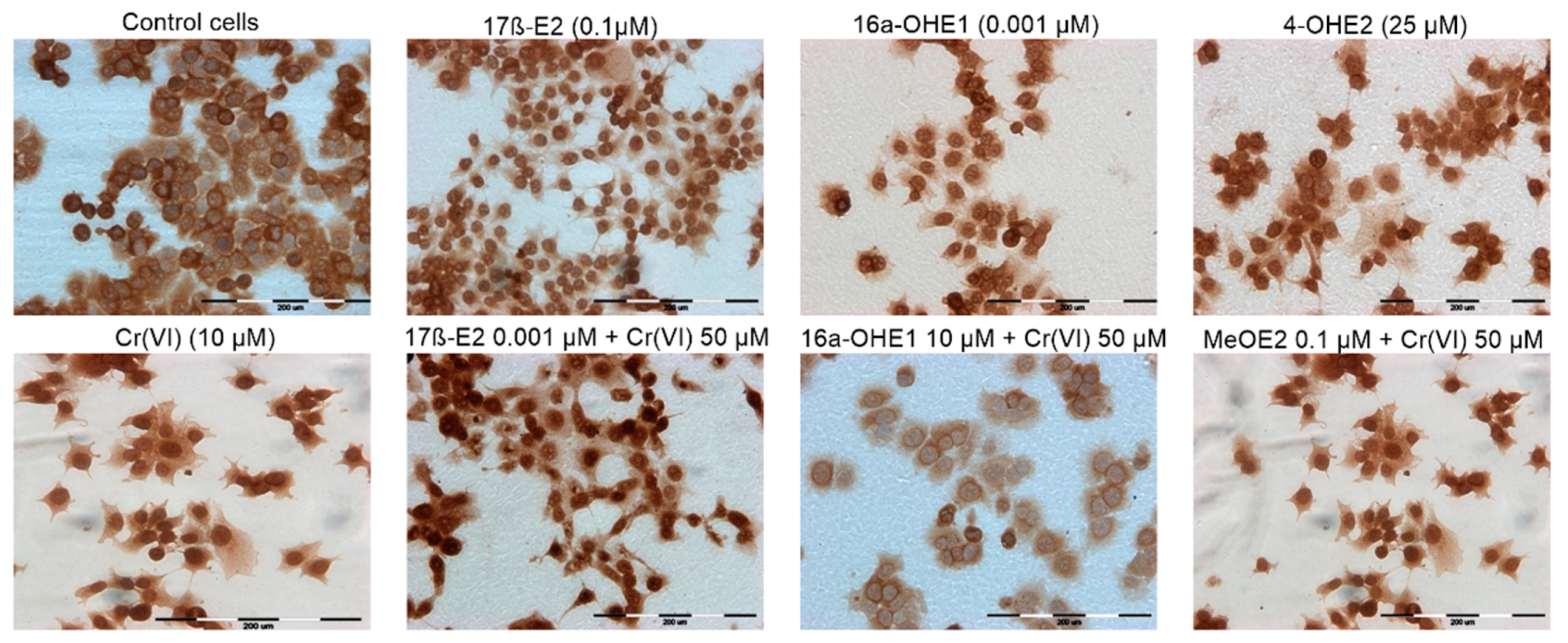 Molecules 28 02752 g008 Molecules 28 02752 g008