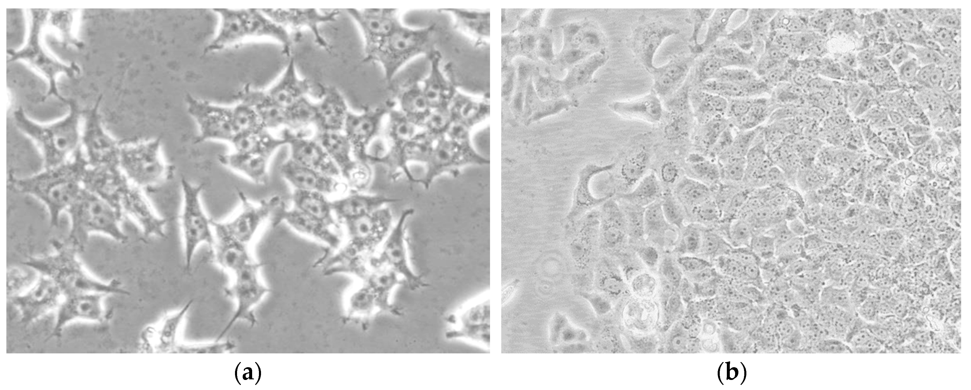Molecules 28 02752 g009 Molecules 28 02752 g009