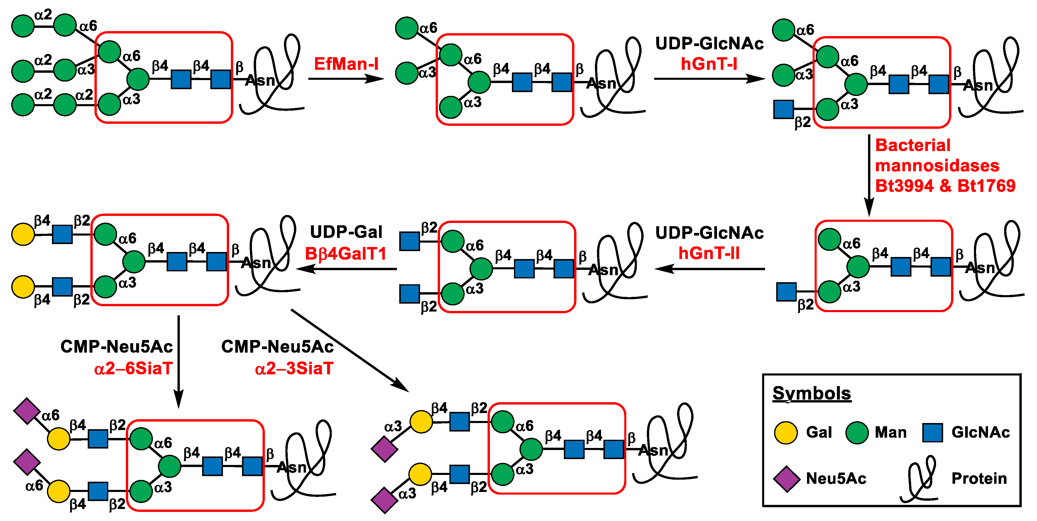 Molecules 28 02753 g001 Molecules 28 02753 g001