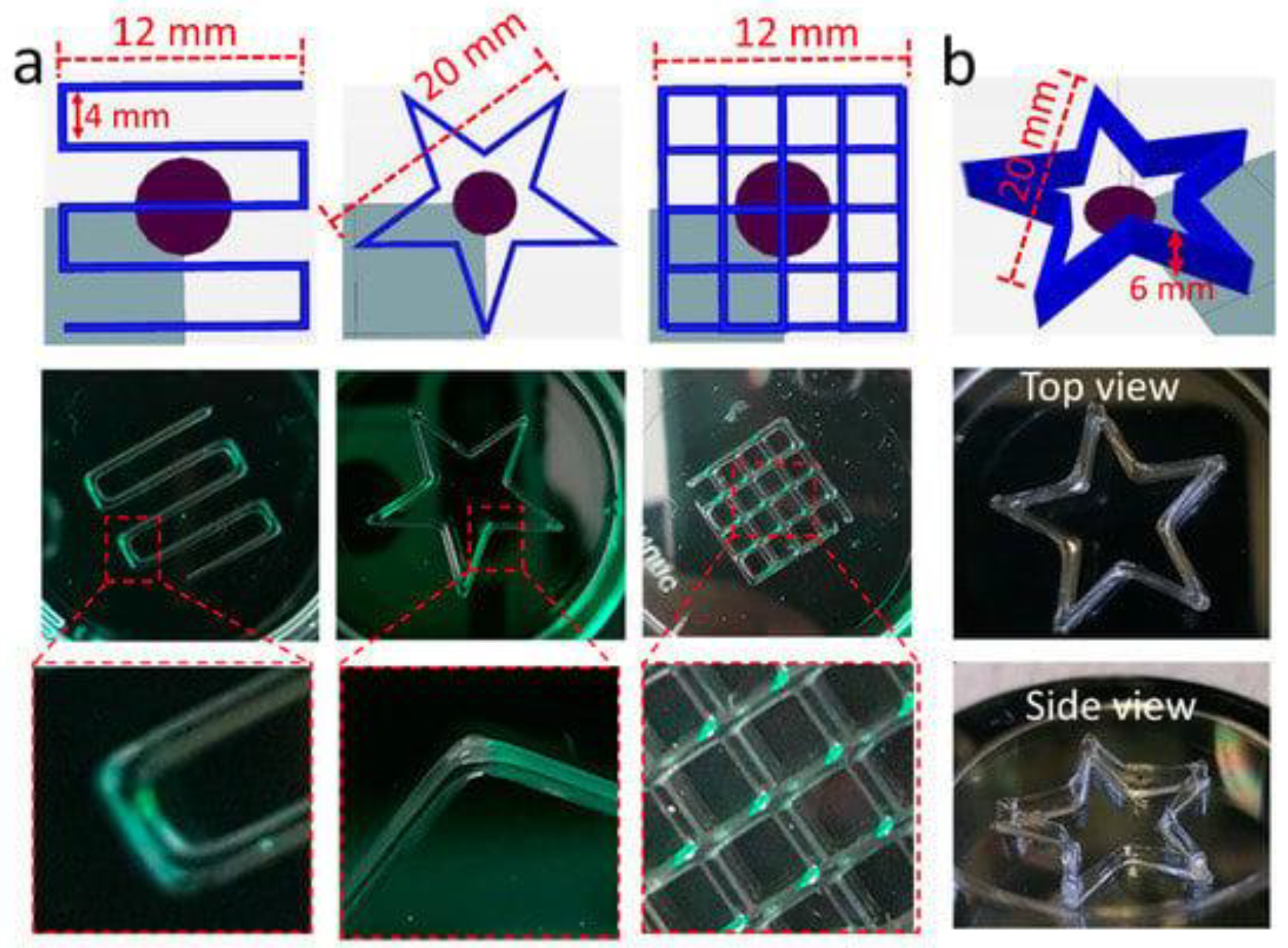Molecules 28 02766 g011 Molecules 28 02766 g011