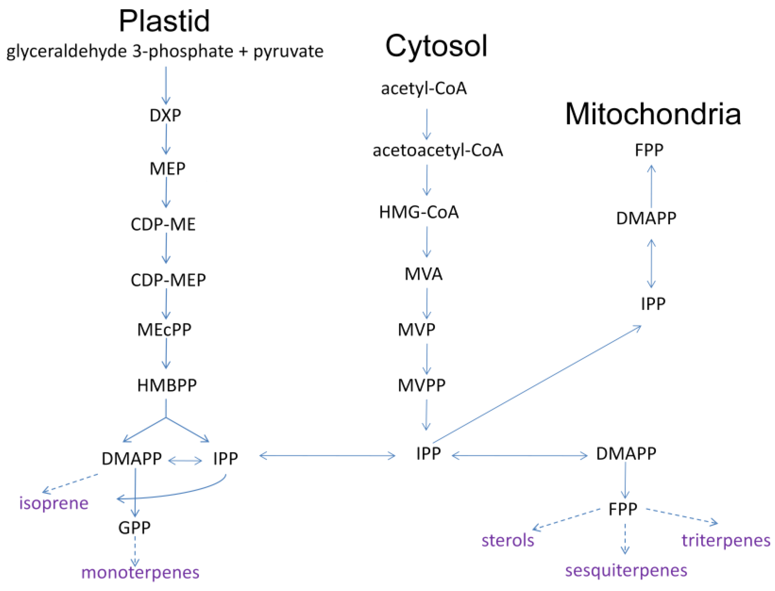 Molecules 28 02774 g003