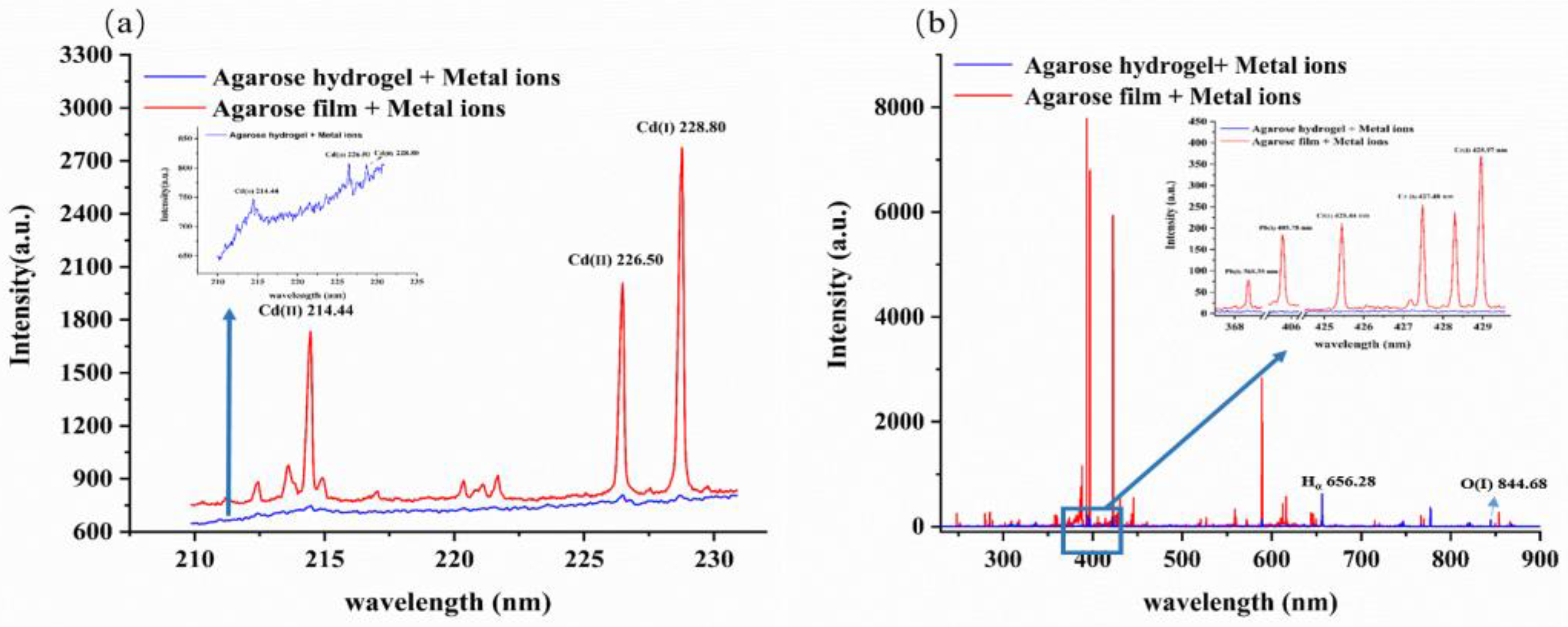 Molecules 28 02777 g001