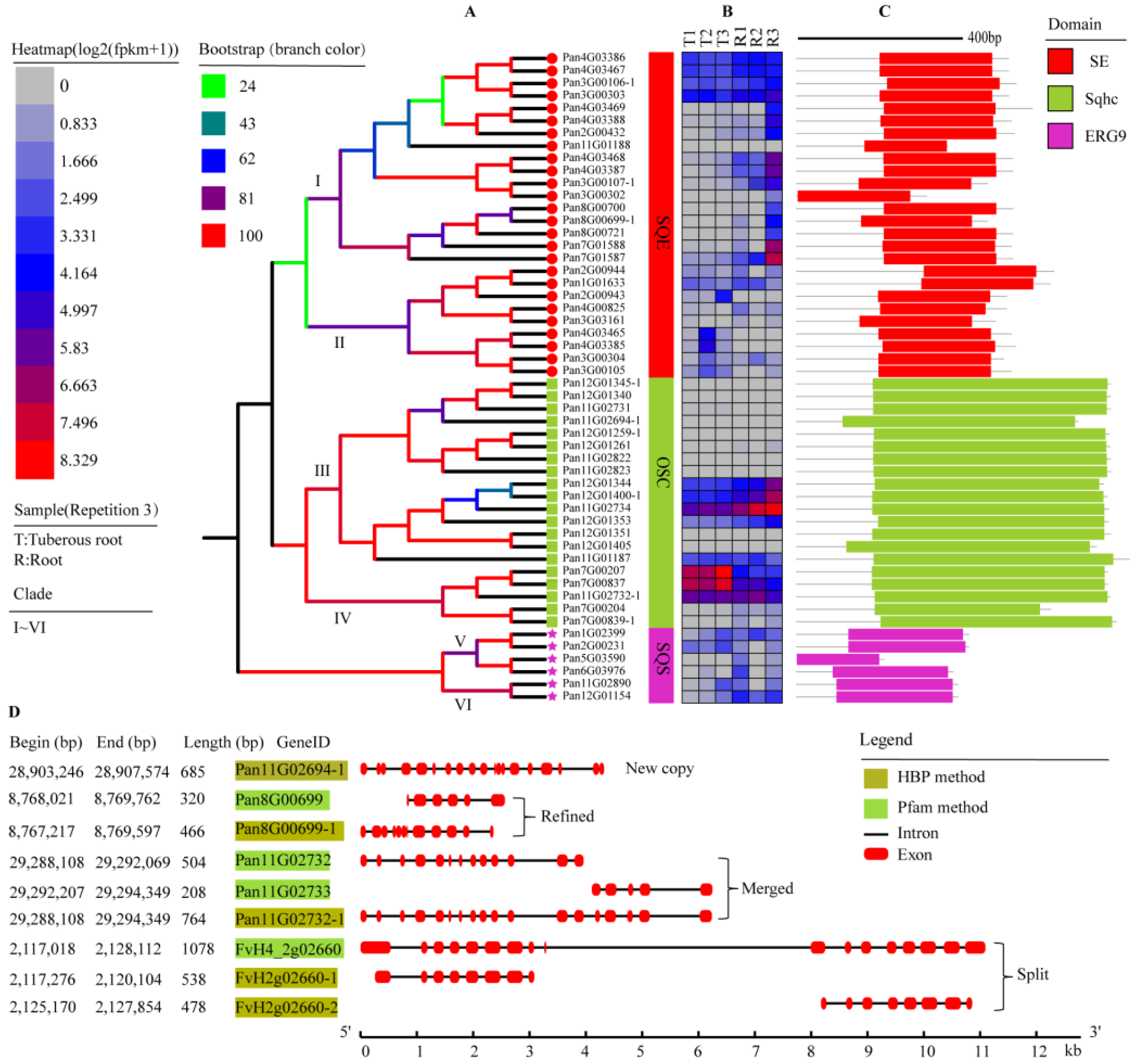 Molecules 28 02782 g001