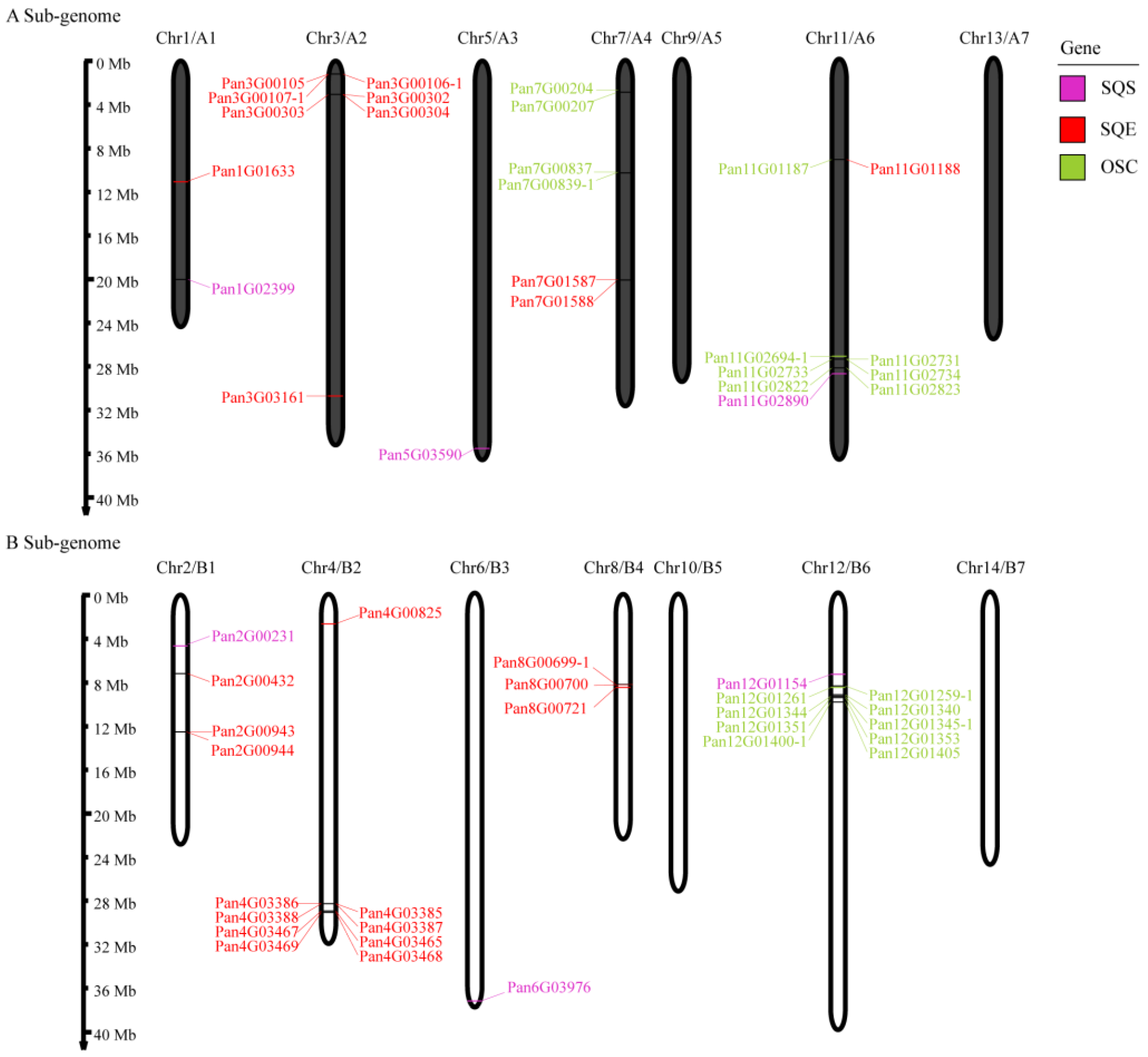 Molecules 28 02782 g002