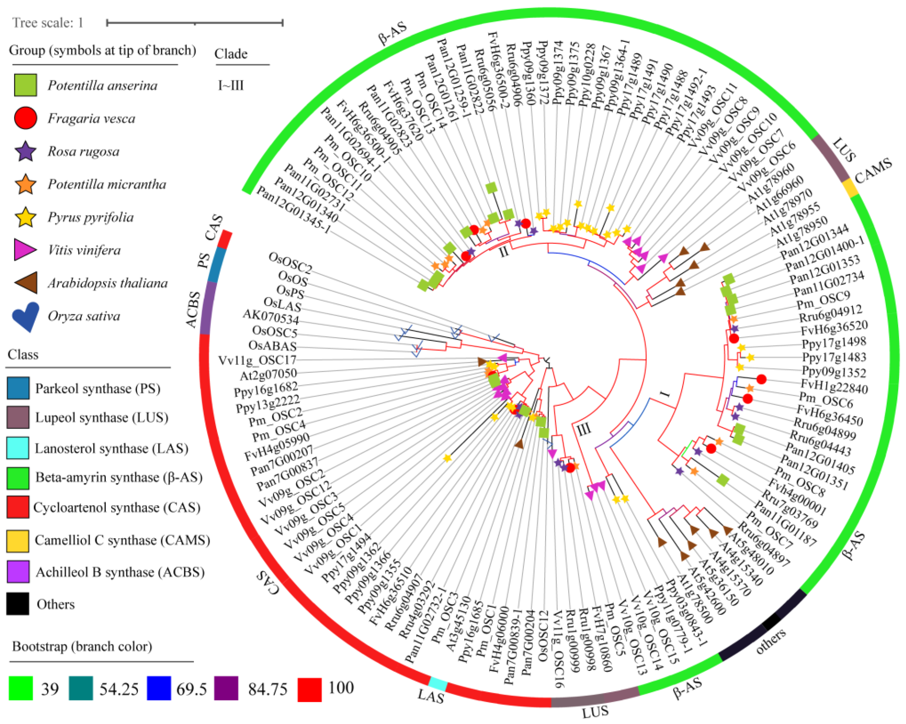 Molecules 28 02782 g004