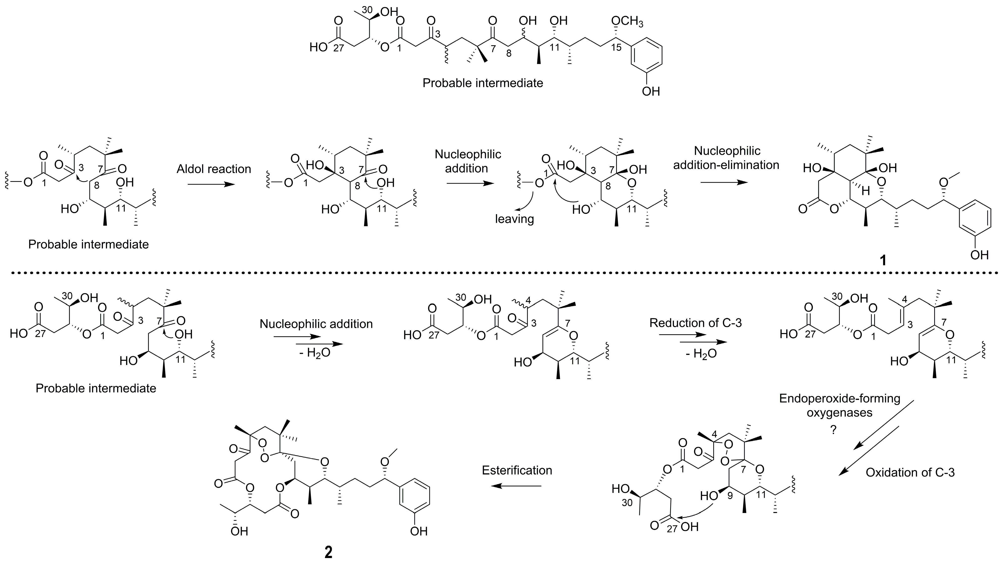 Molecules 28 02786 sch001 Molecules 28 02786 sch001