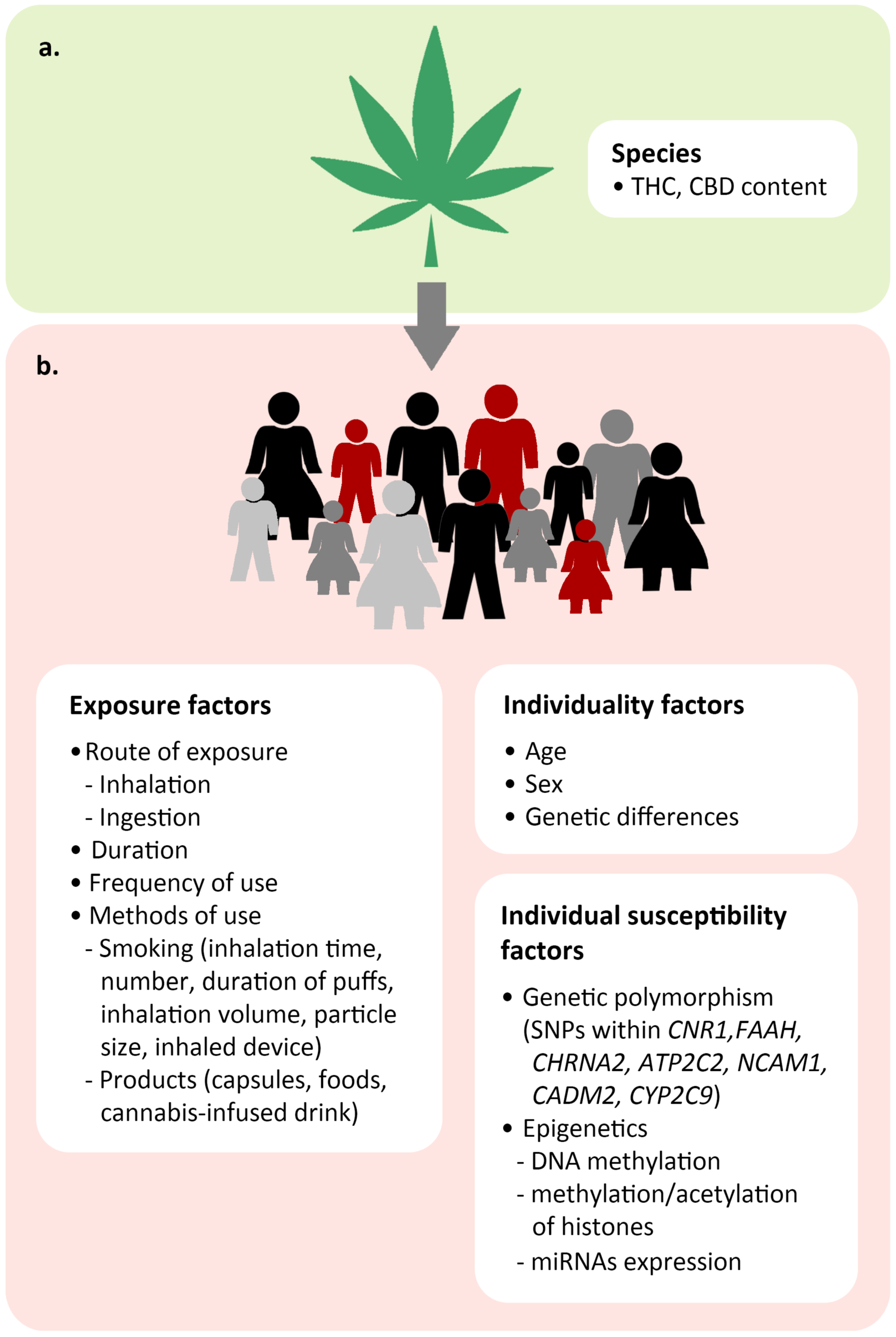 An Individuality of Response to Cannabinoids: Challenges in Safety and Efficacy of Cannabis Products An Individuality of Response to Cannabinoids: Challenges in Safety and Efficacy of Cannabis Products