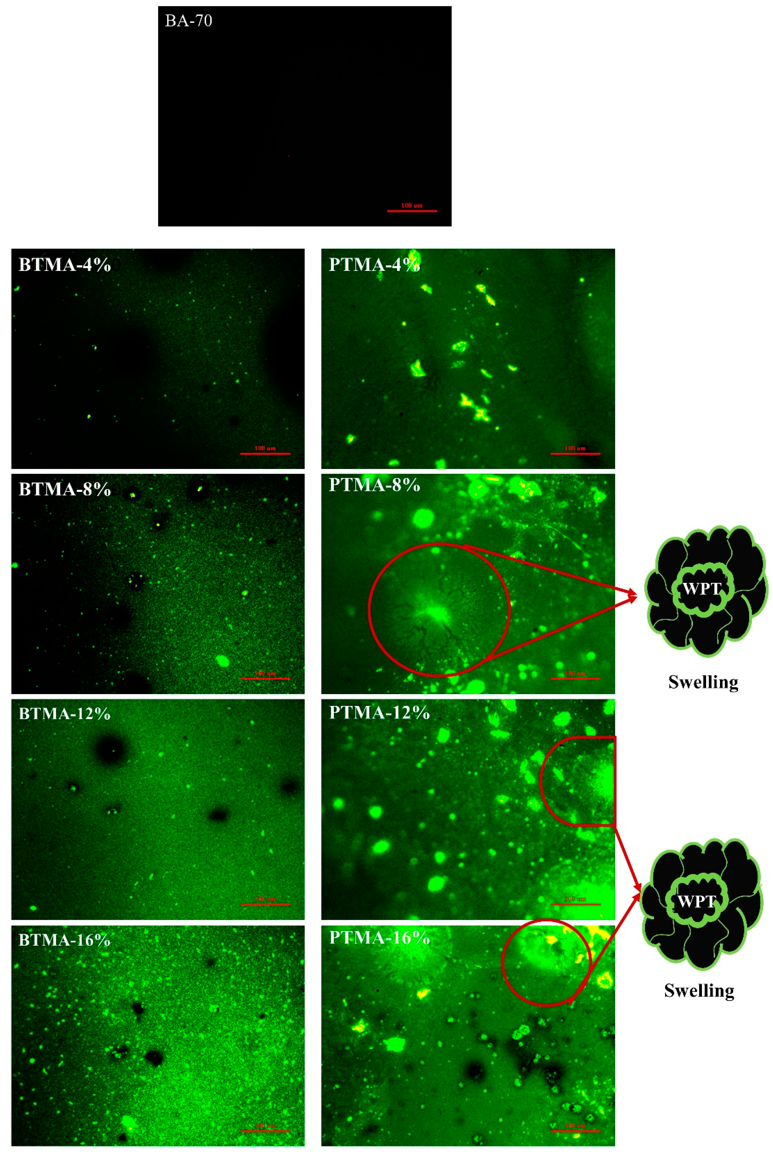 Molecules 28 02794 g006