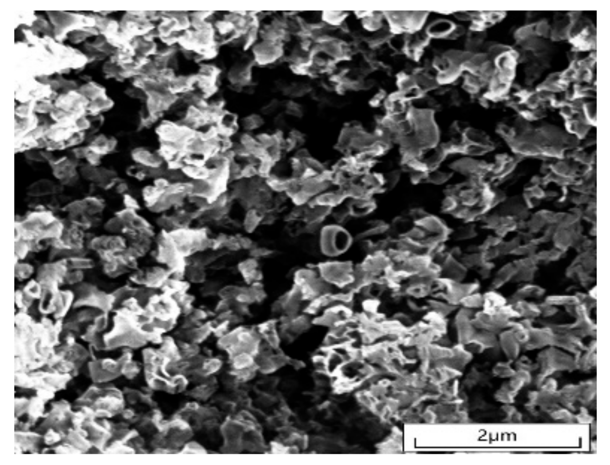 Molecules 28 02796 g002 Molecules 28 02796 g002