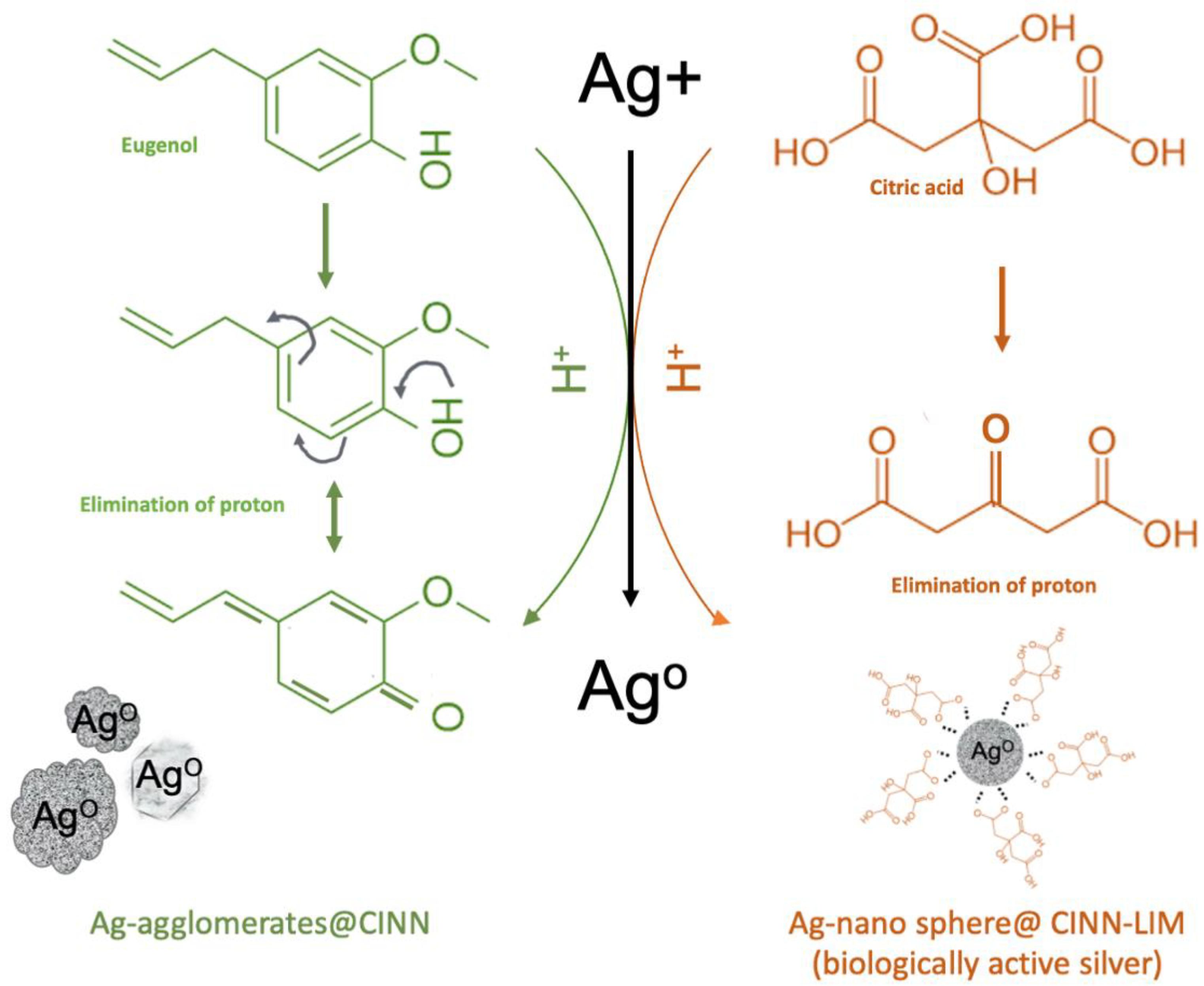 Molecules 28 02802 g001