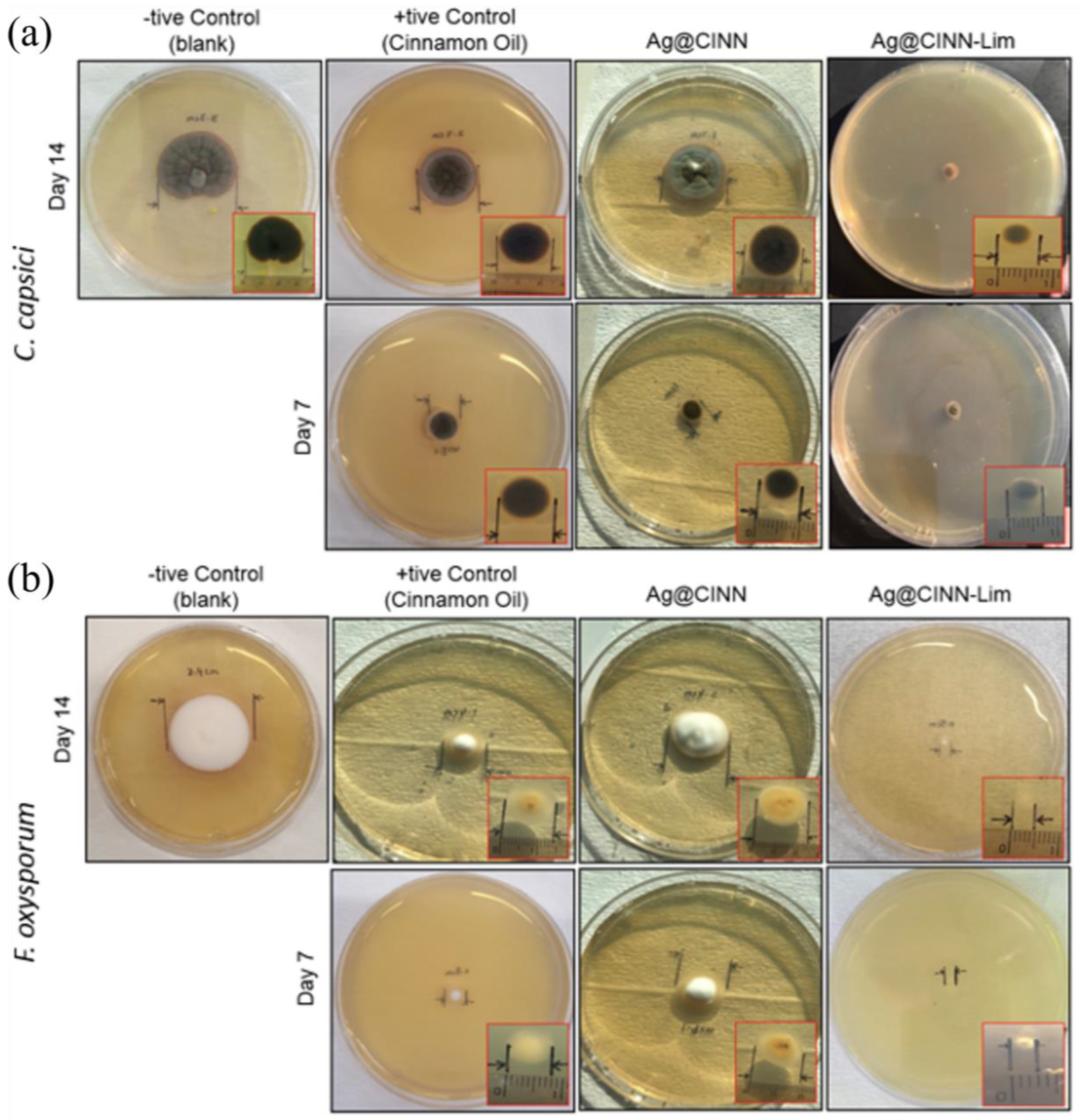 Molecules 28 02802 g006