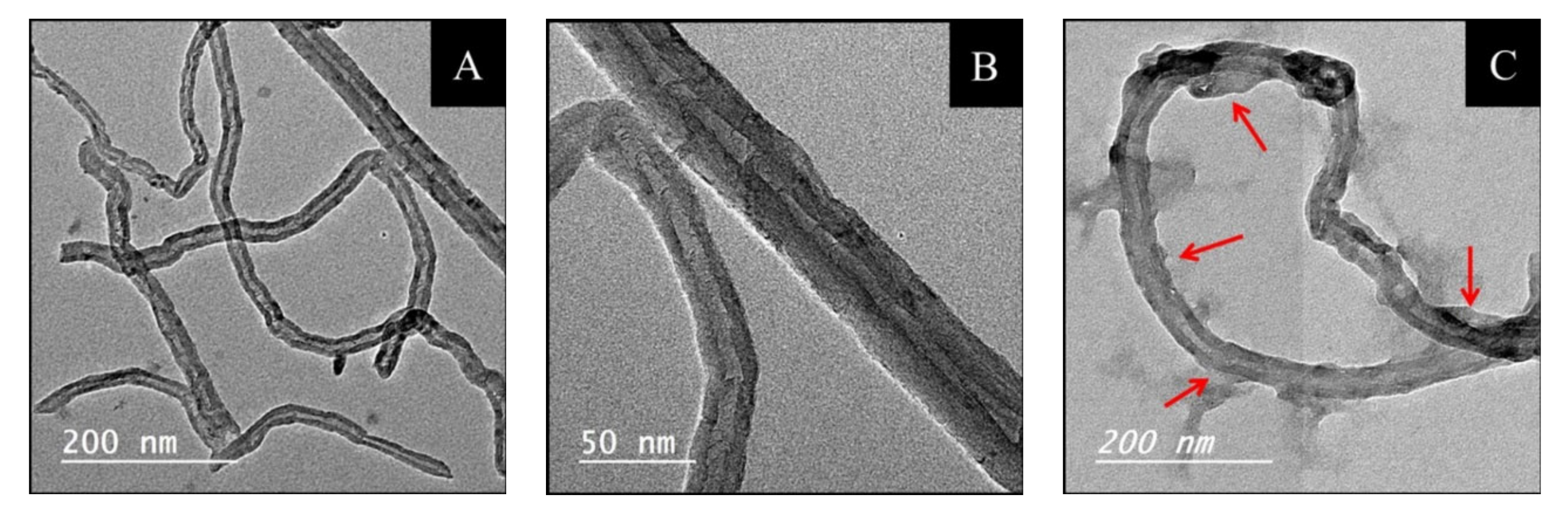 Molecules 28 02809 g001 Molecules 28 02809 g001