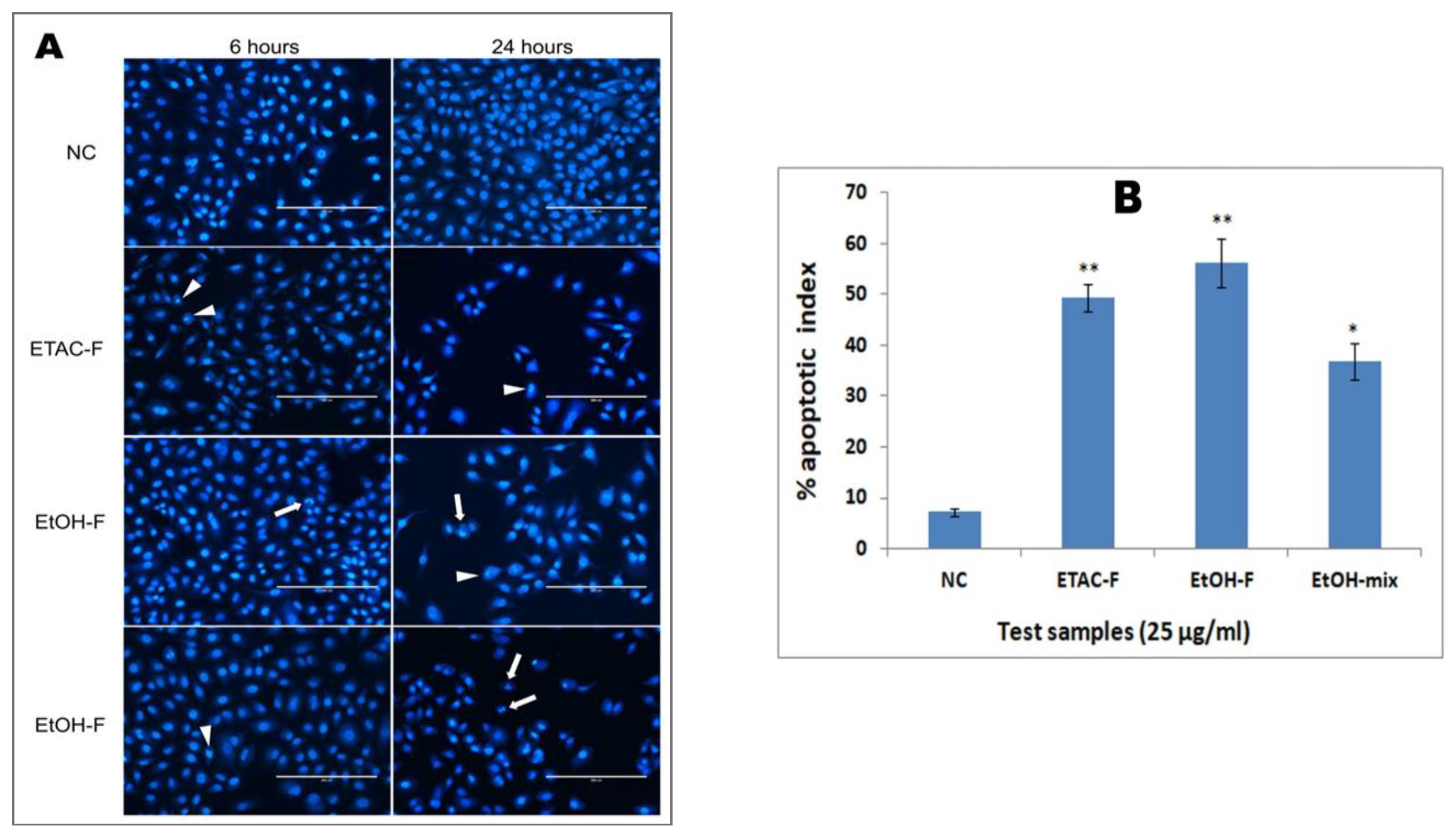 Molecules 28 02812 g005
