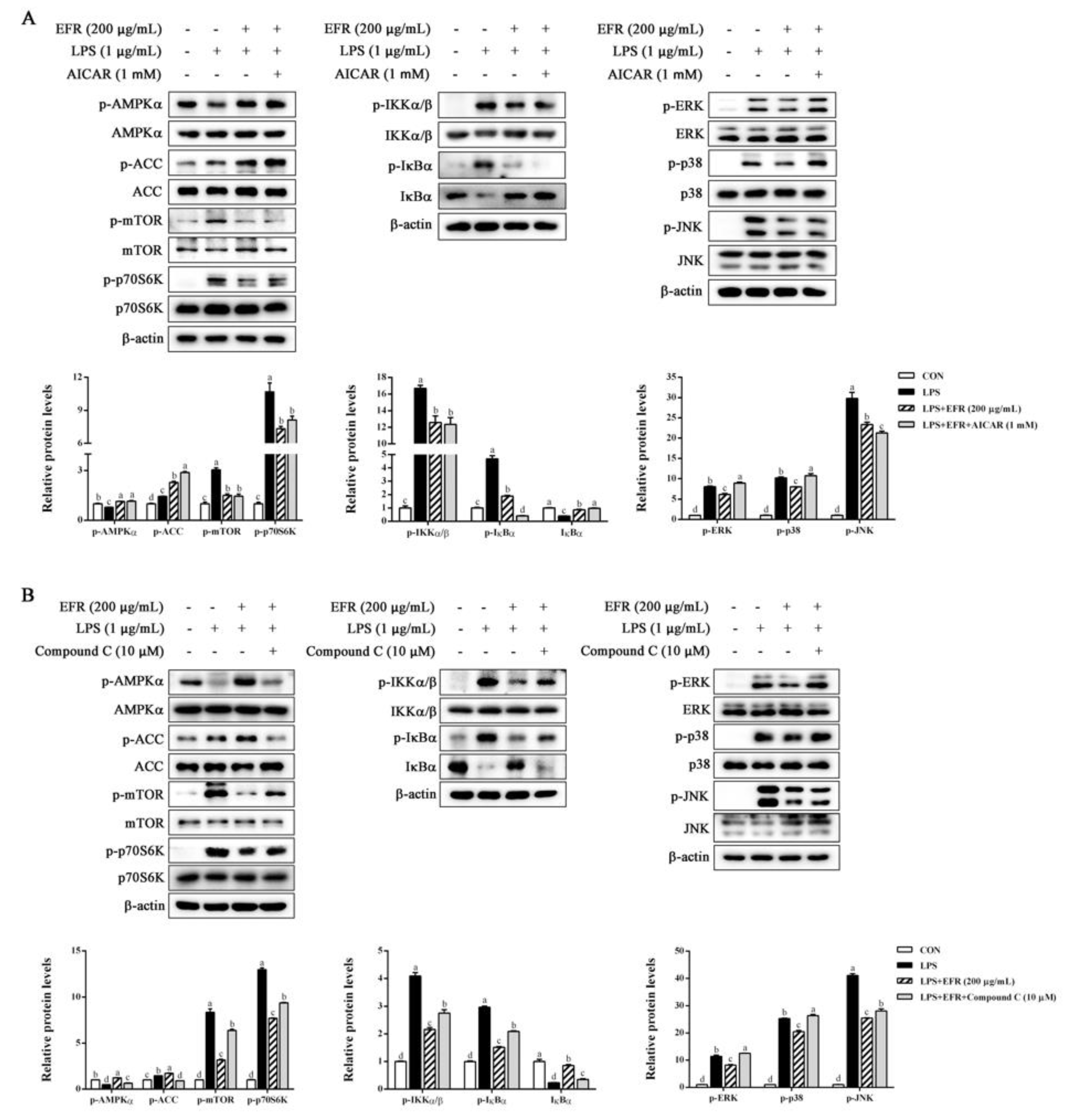 Molecules 28 02813 g006 Molecules 28 02813 g006