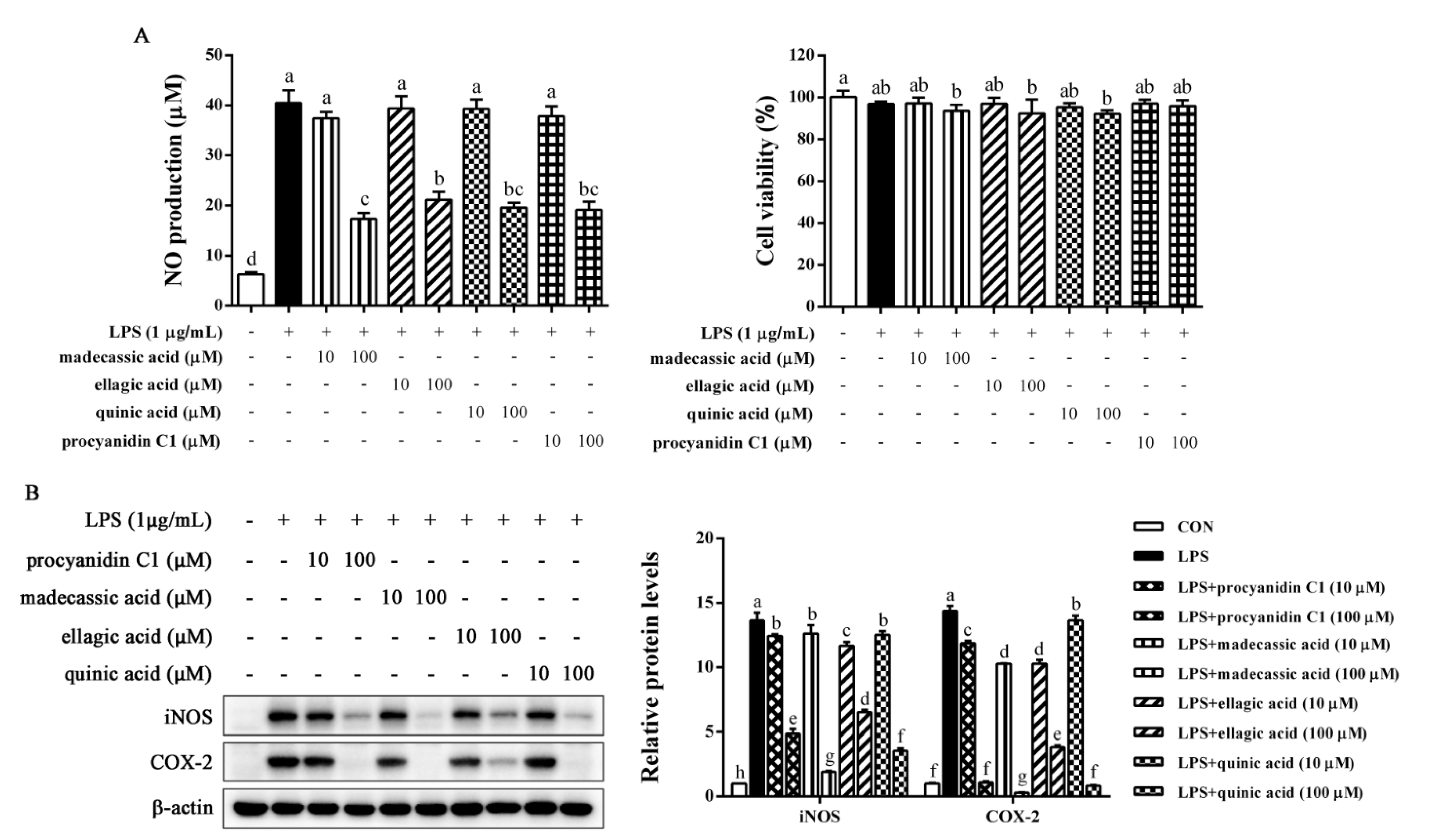 Molecules 28 02813 g007 Molecules 28 02813 g007