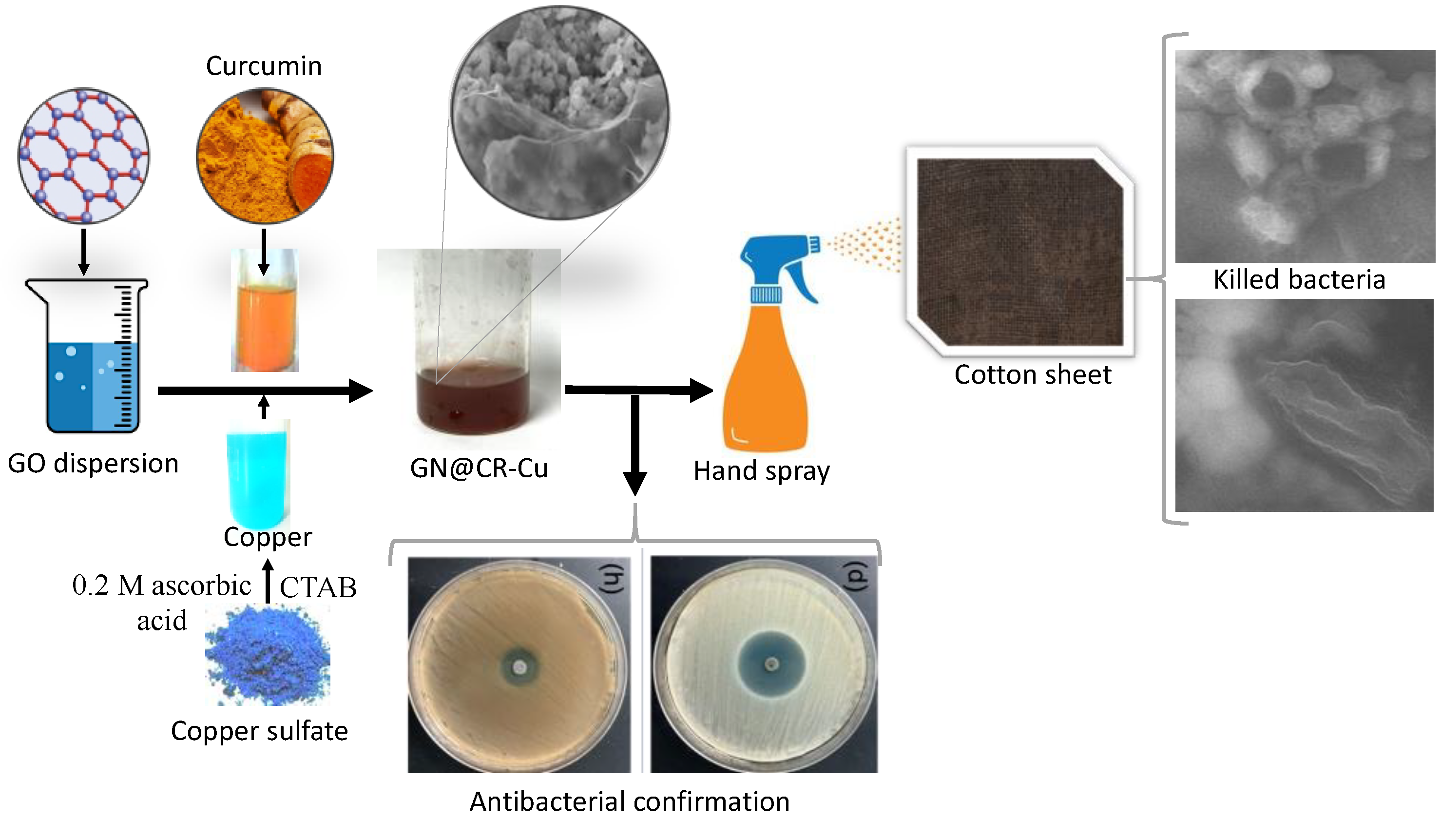 Molecules 28 02814 g001