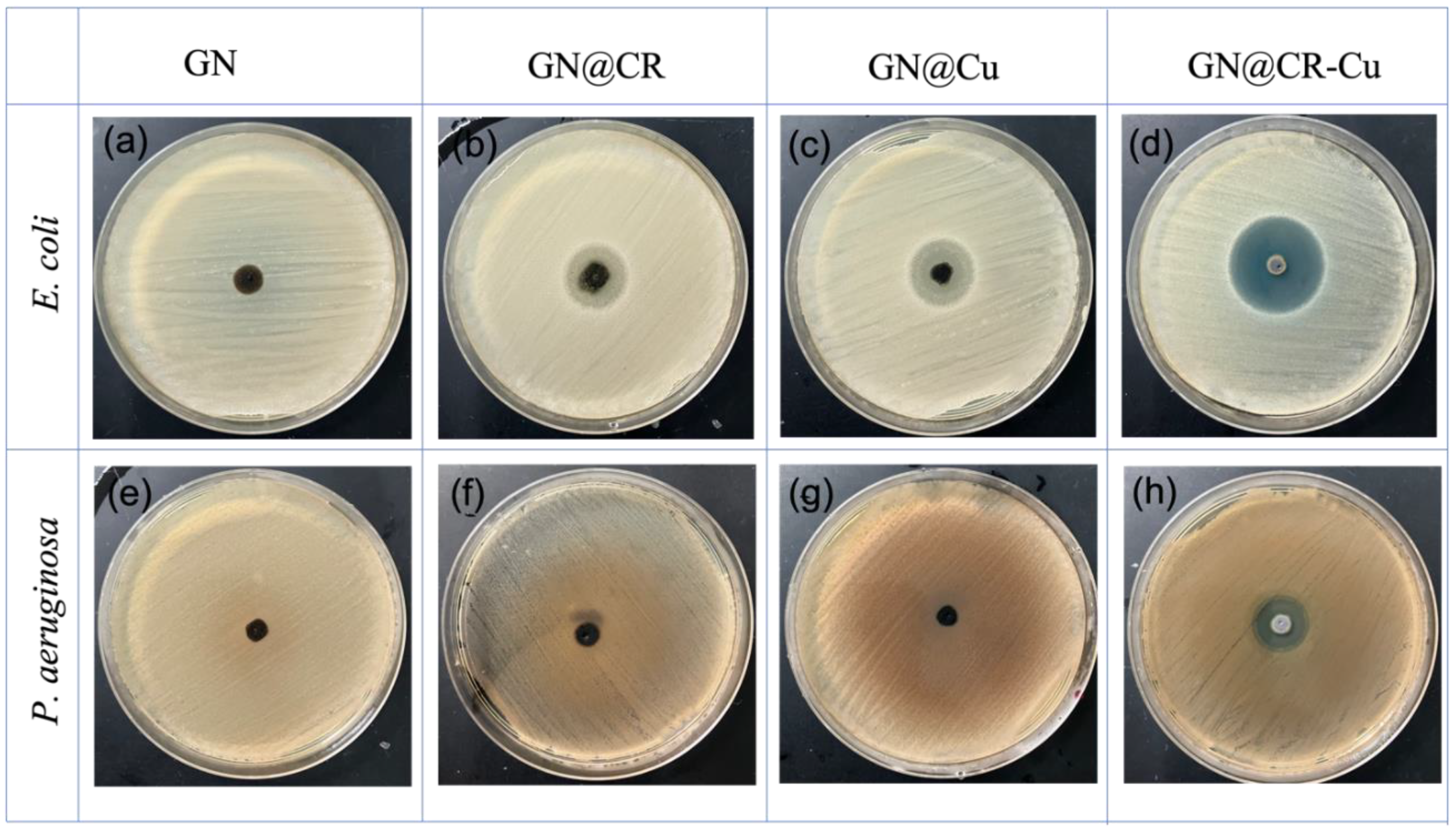 Molecules 28 02814 g006