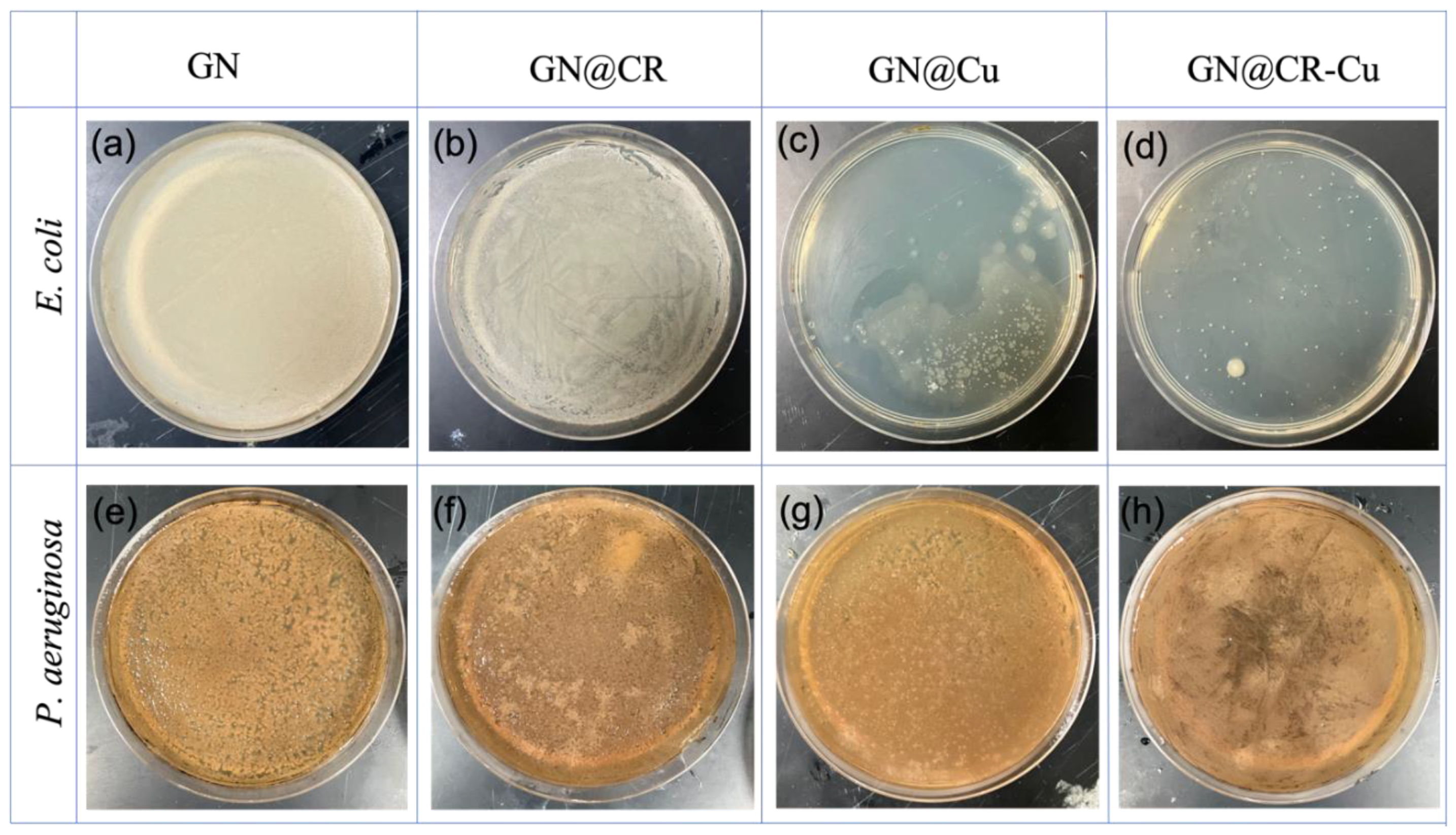 Molecules 28 02814 g007