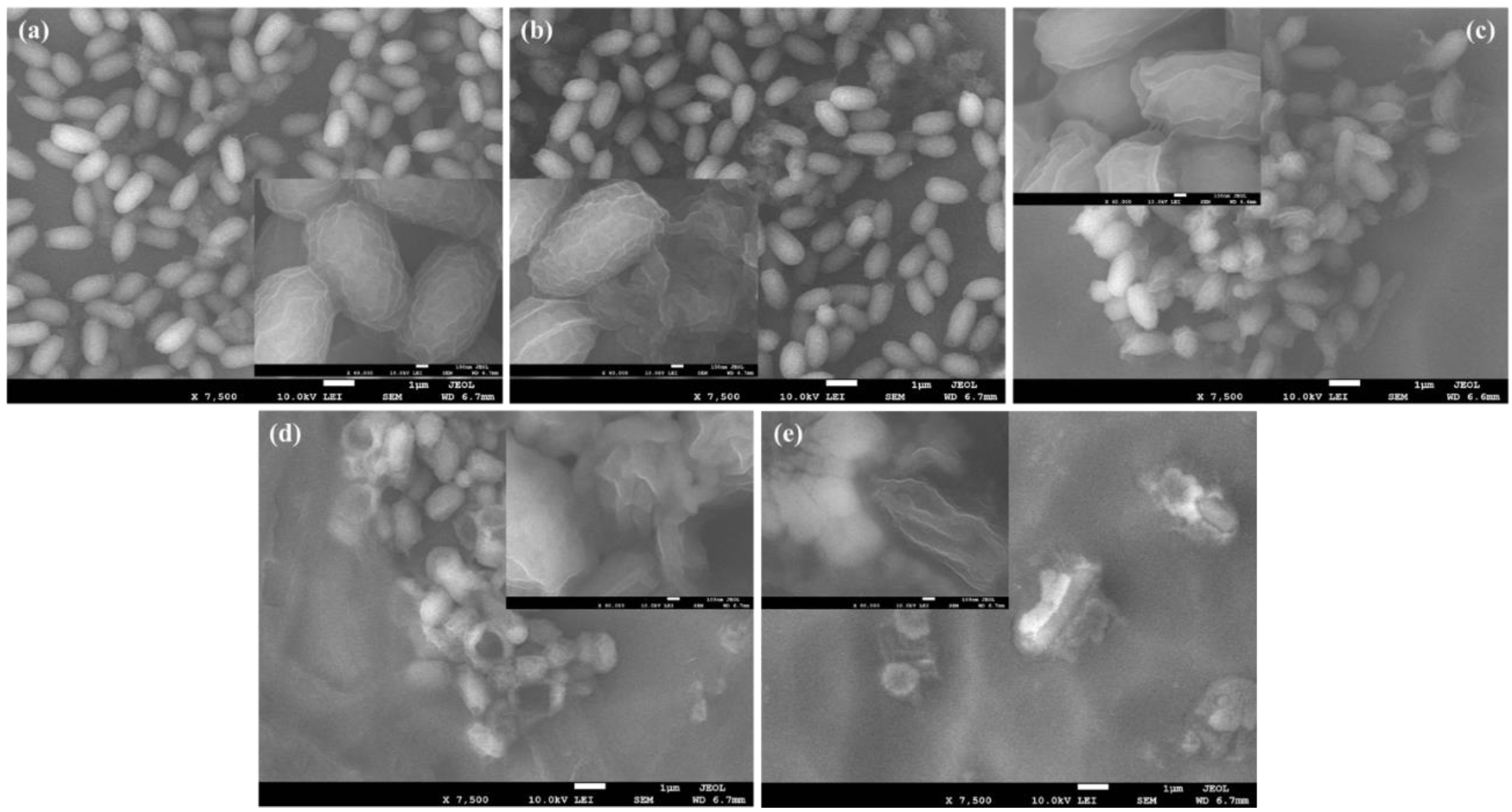 Molecules 28 02814 g009