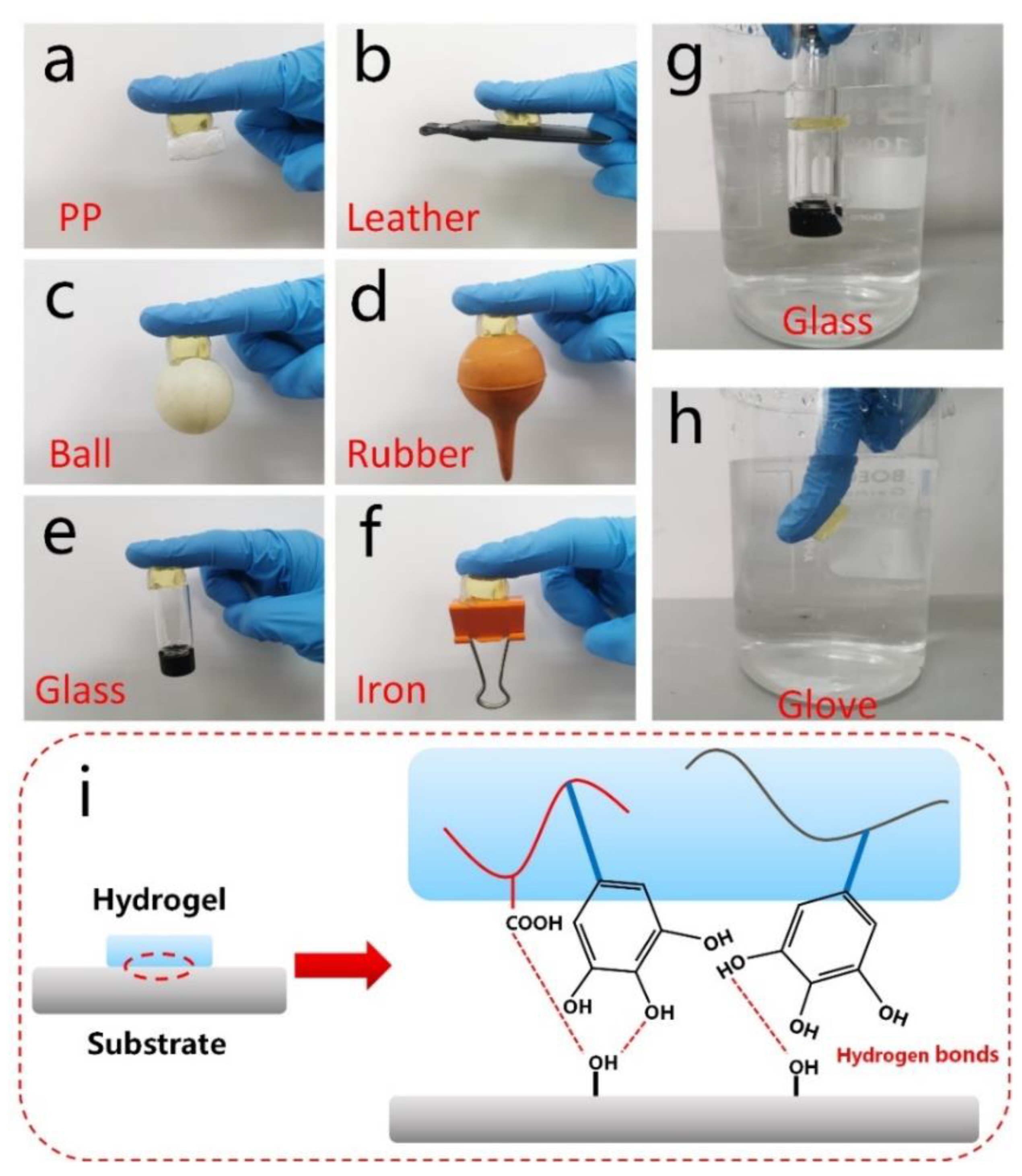 Molecules 28 02817 g006 Molecules 28 02817 g006
