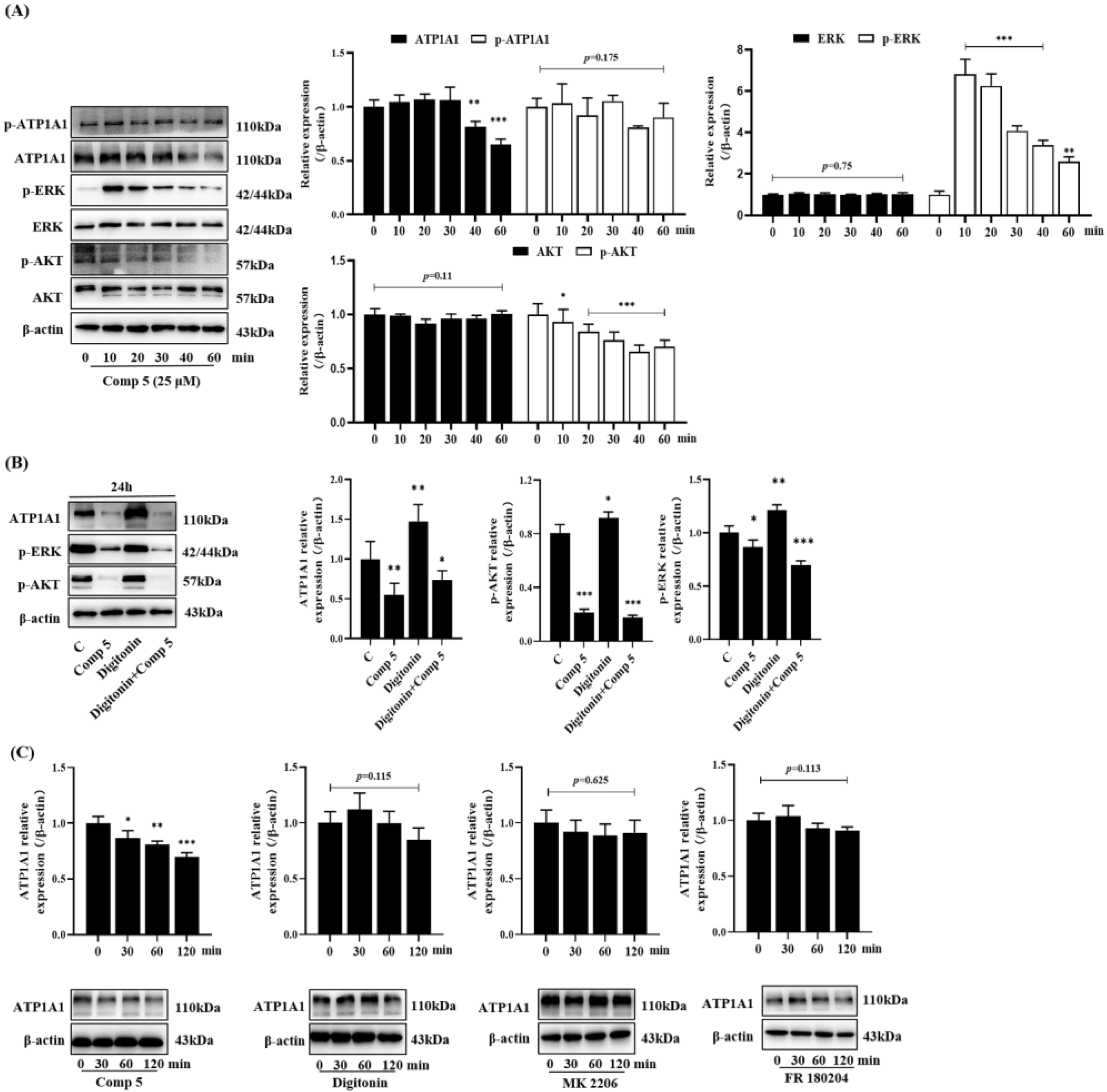 Molecules 28 02830 g005 Molecules 28 02830 g005