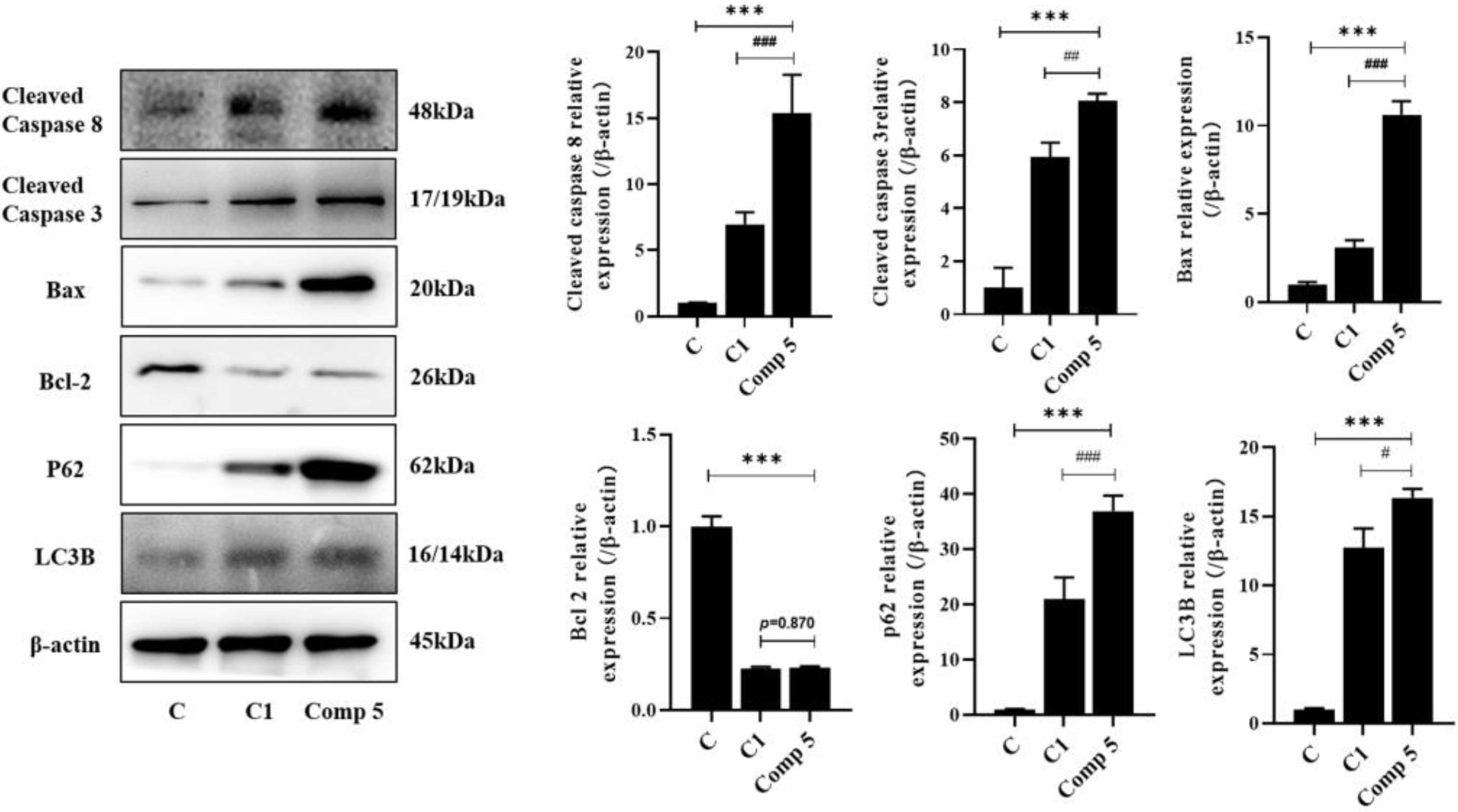Molecules 28 02830 g006 Molecules 28 02830 g006