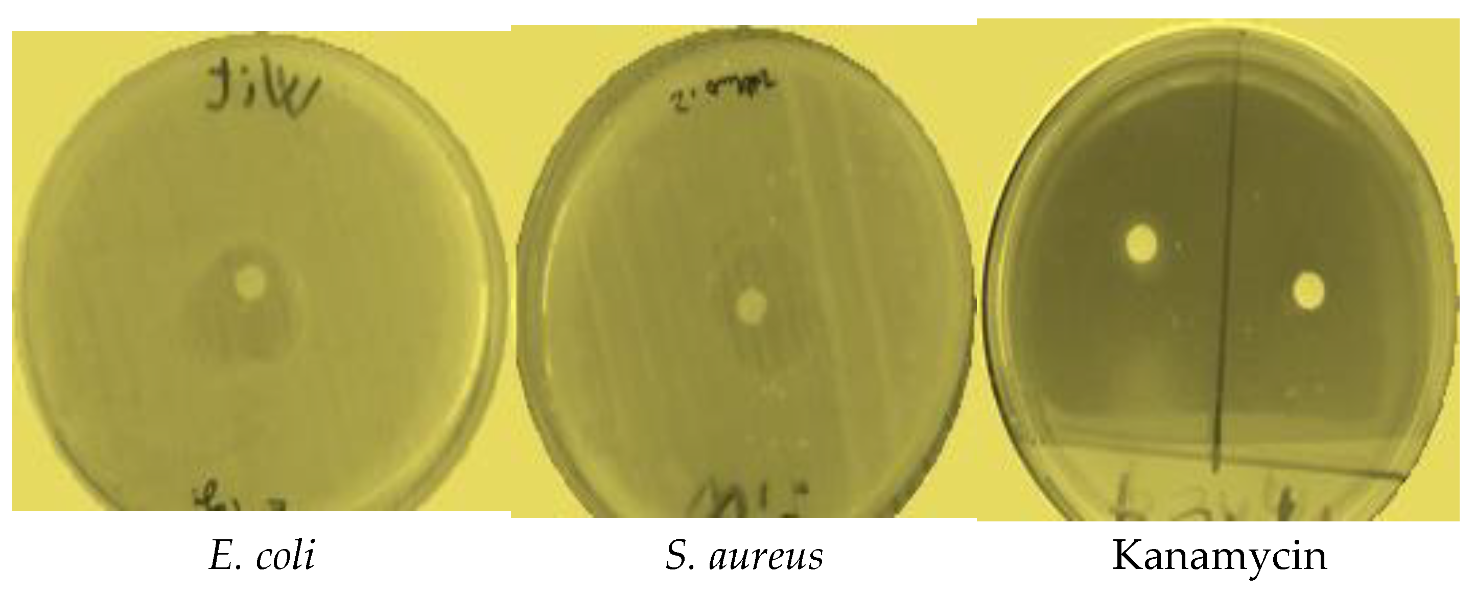 Molecules 28 02839 g003 Molecules 28 02839 g003