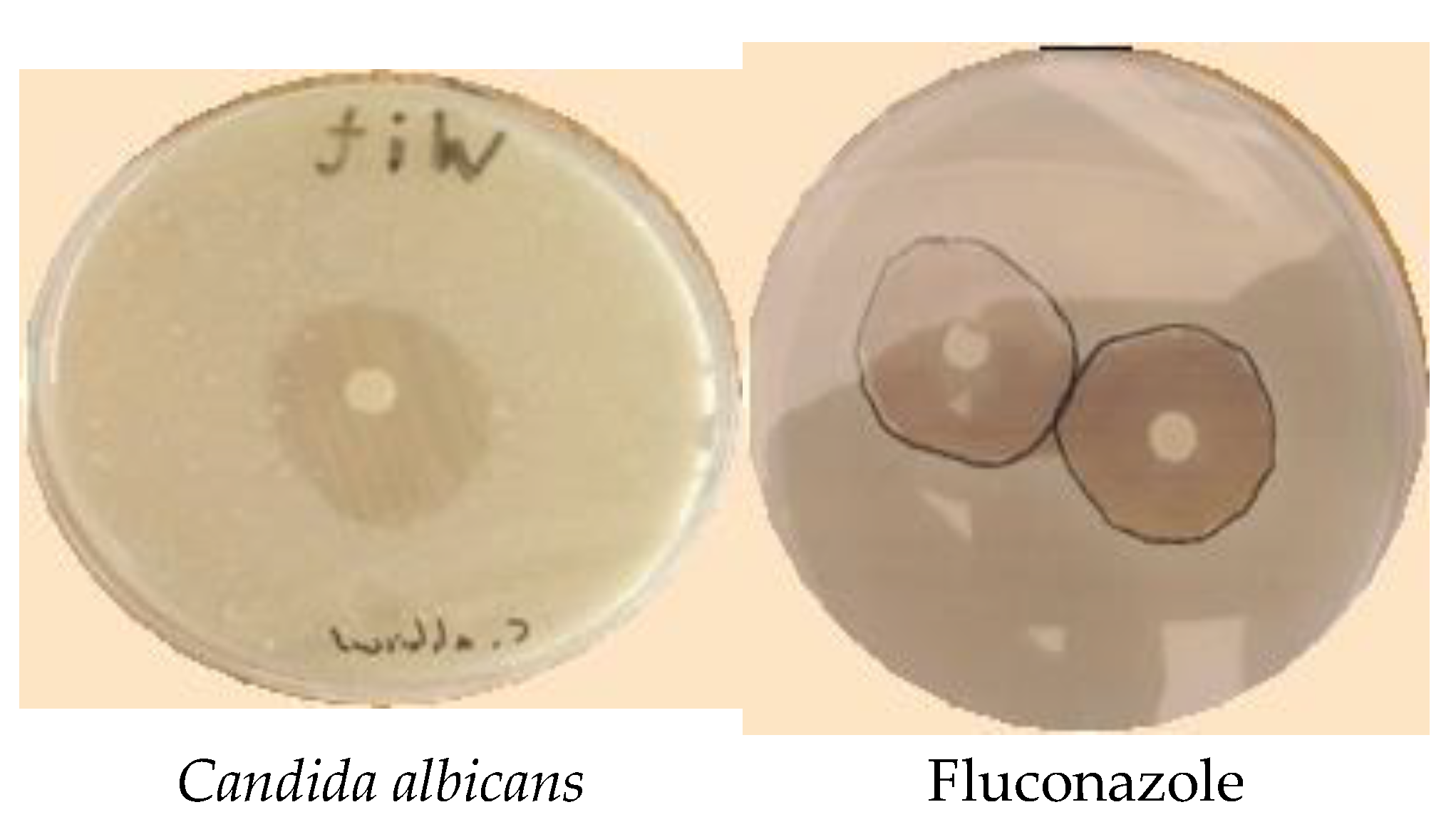 Molecules 28 02839 g004 Molecules 28 02839 g004