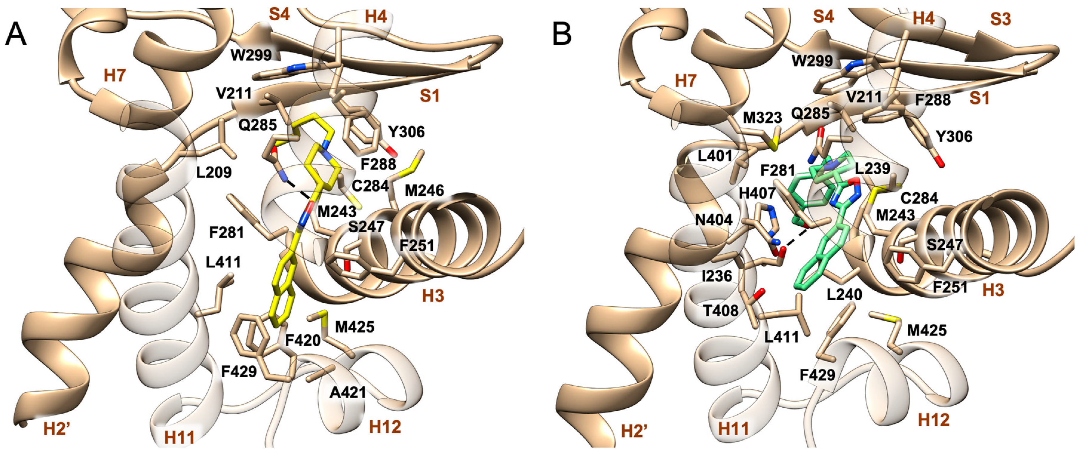 Molecules 28 02840 g003 Molecules 28 02840 g003