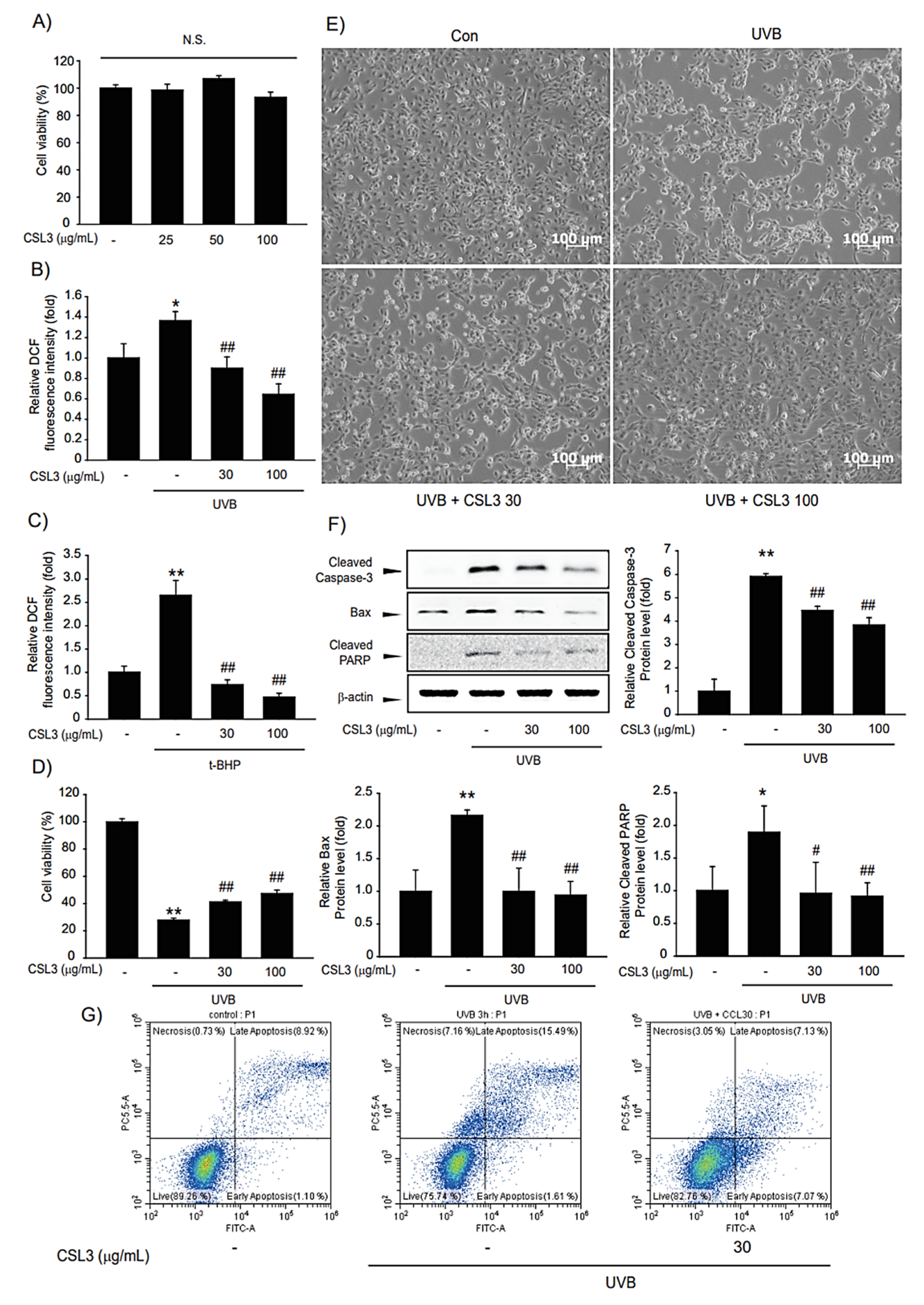 Molecules 28 02842 g004 Molecules 28 02842 g004