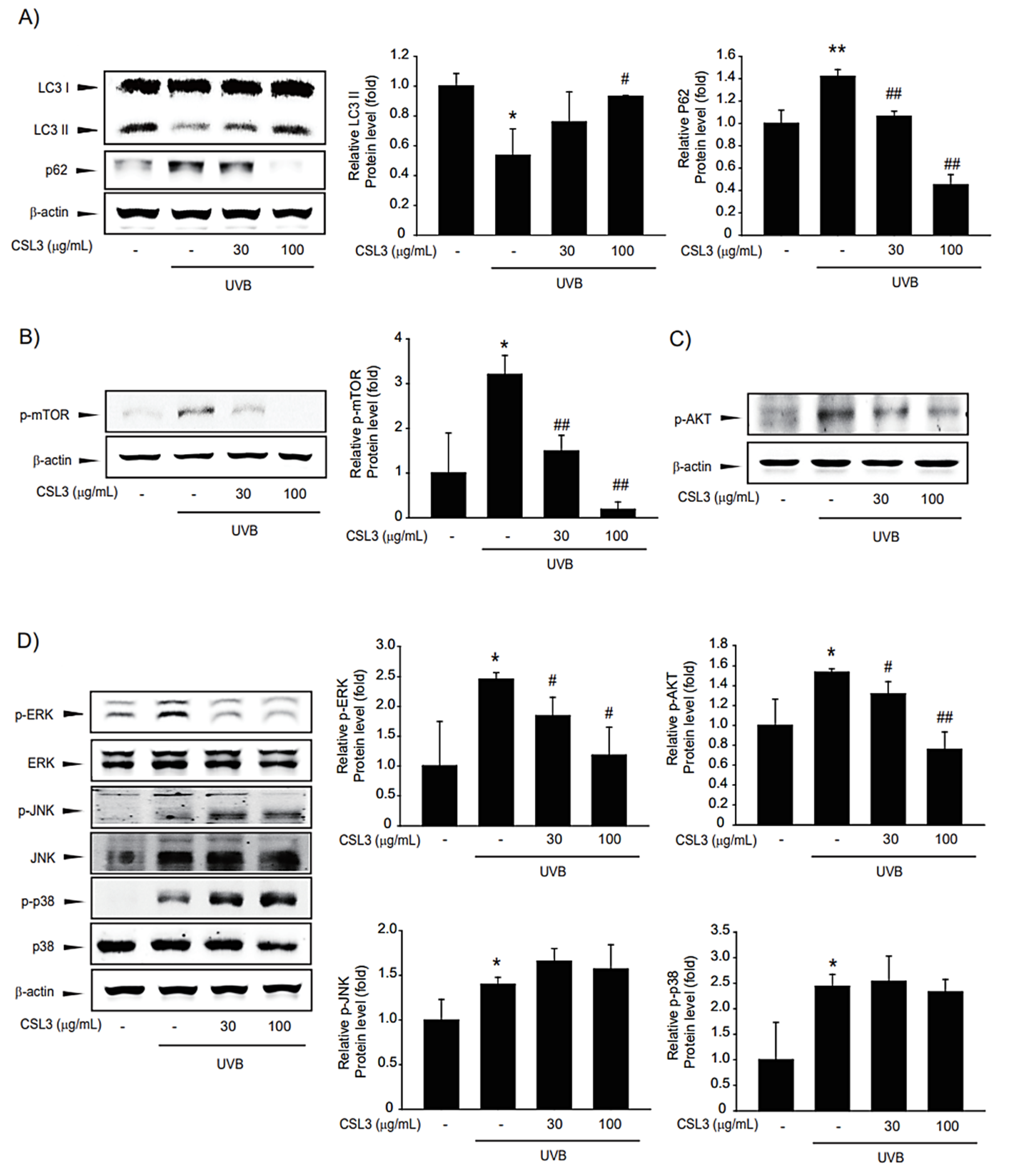 Molecules 28 02842 g006 Molecules 28 02842 g006