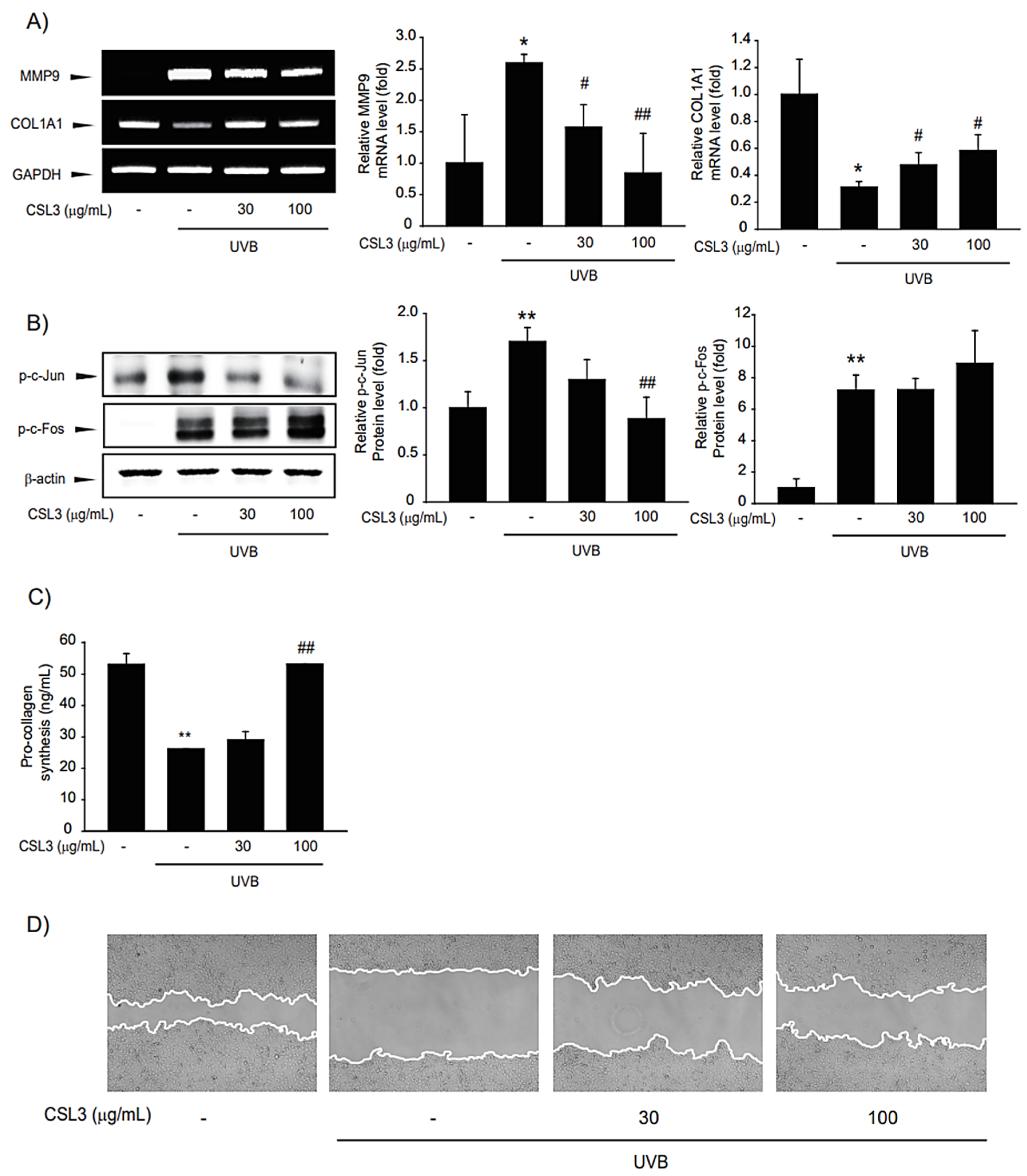 Molecules 28 02842 g007 Molecules 28 02842 g007