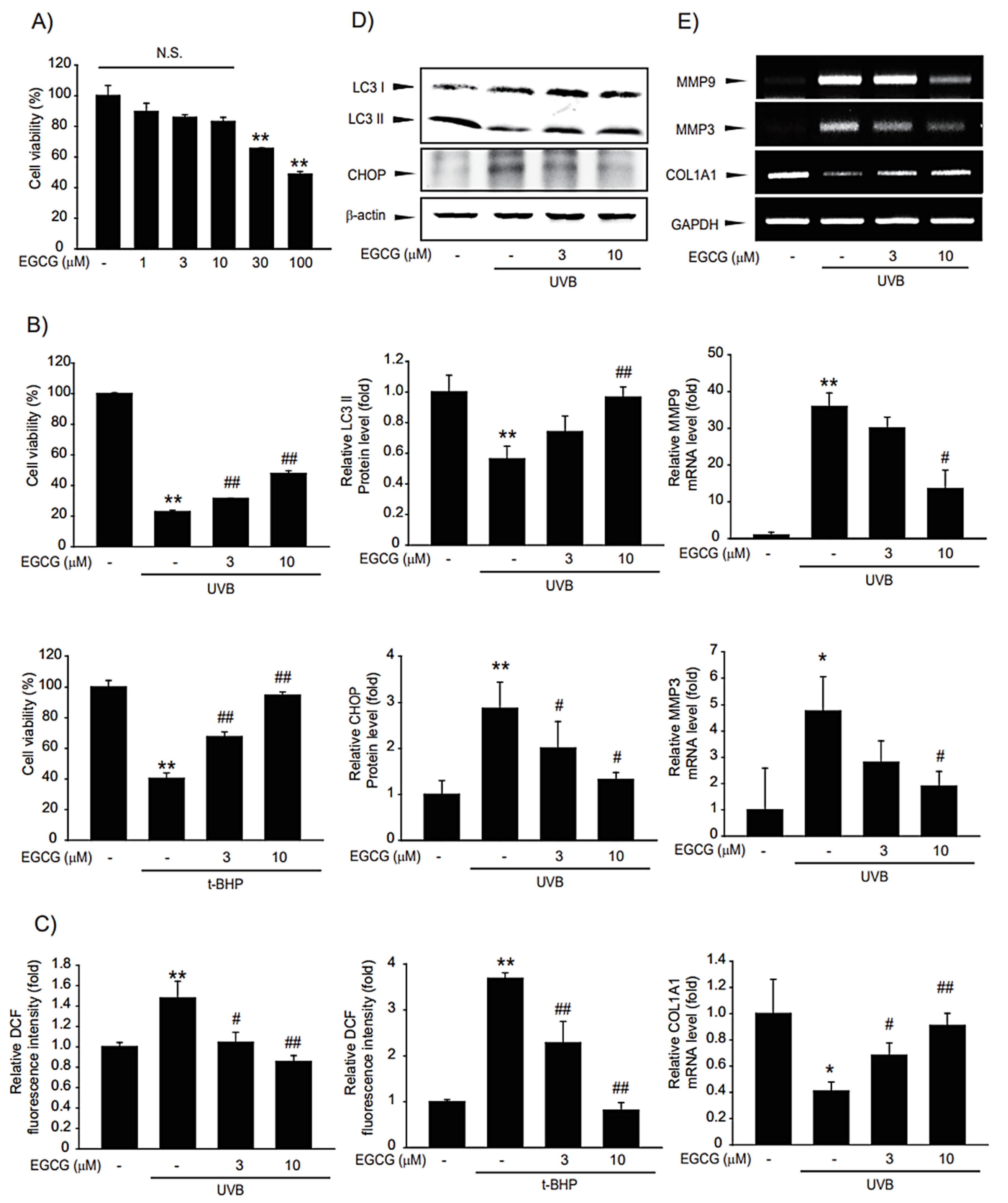 Molecules 28 02842 g008 Molecules 28 02842 g008